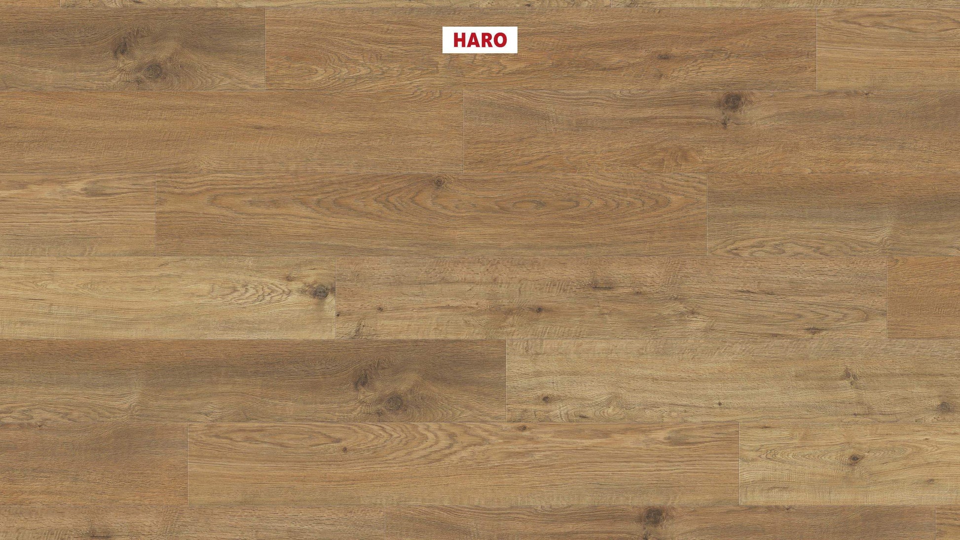 DISANO by HARO WaveAqua Landhausdiele 4V Eiche Whistler Natur* authentic Top Connect