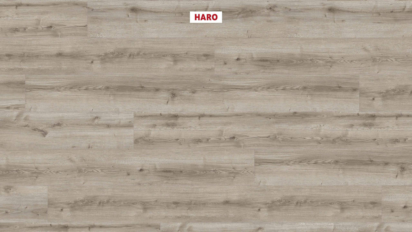 DISANO by HARO WaveAqua Landhausdiele XL 4V Eiche Ontario grau* authentic Top Connect