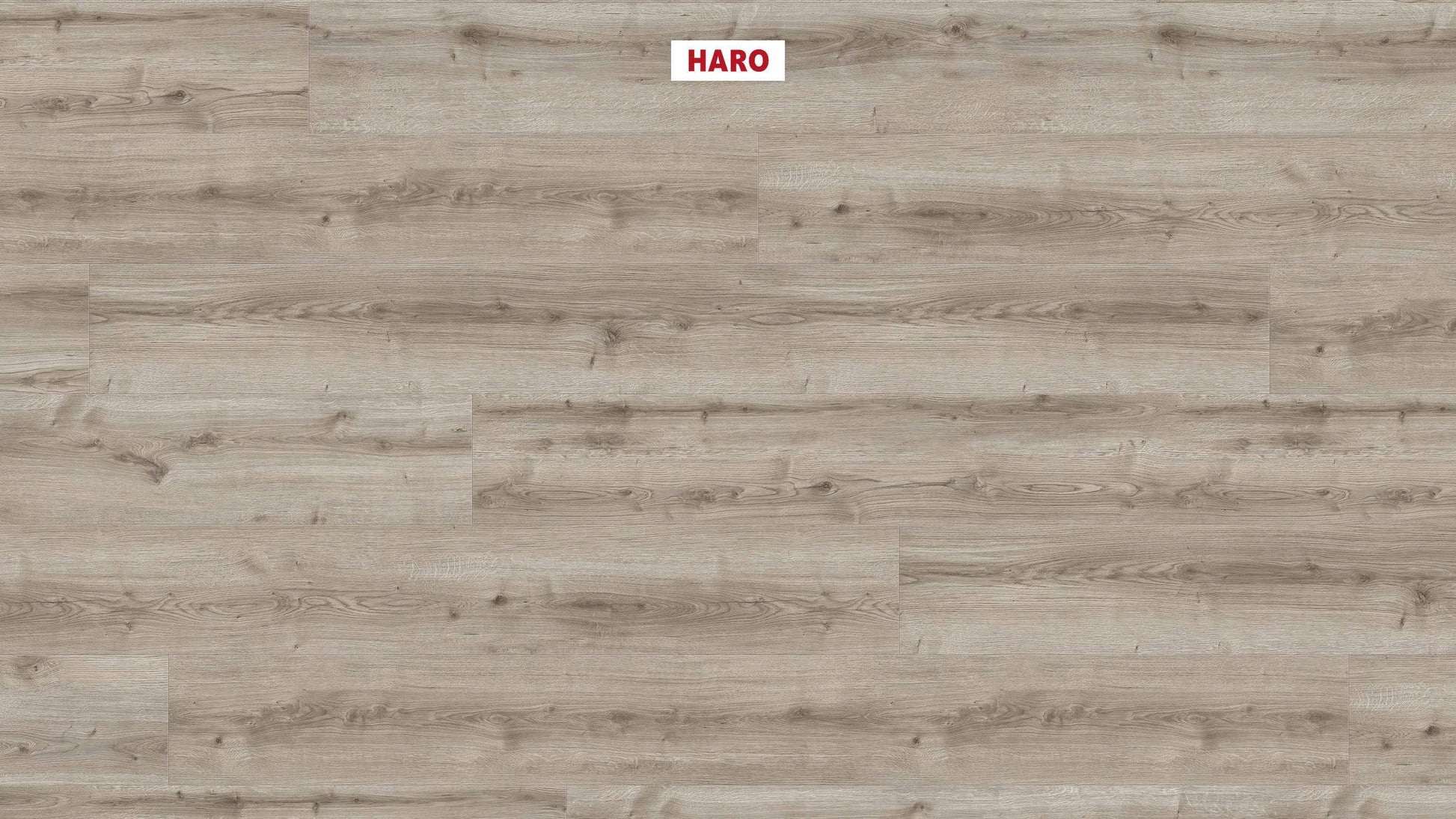 DISANO by HARO WaveAqua Landhausdiele XL 4V Eiche Ontario grau* authentic Top Connect