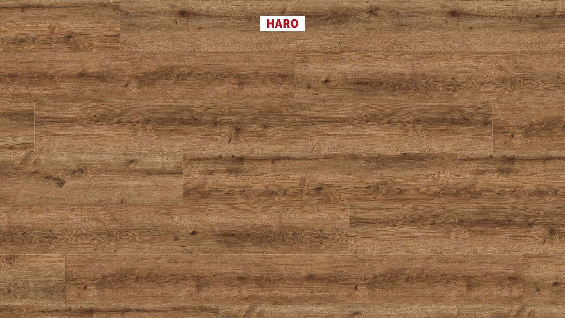 DISANO by HARO WaveAqua Landhausdiele XL 4V Eiche Ontario natur* authentic Top Connect