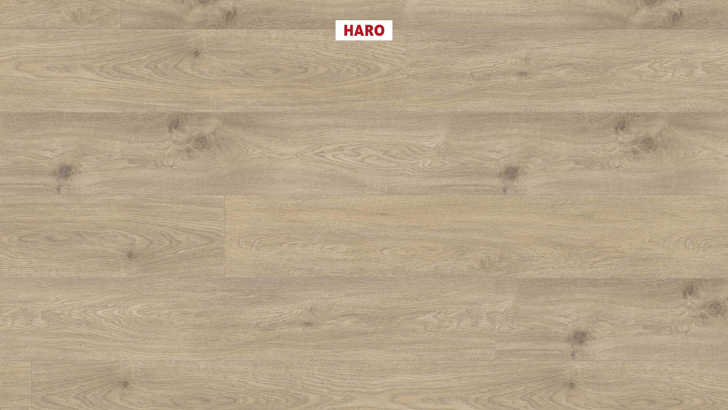 DISANO by HARO WaveAqua Landhausdiele XL 4V Eiche Whistler kieselgrau* authentic Top Connect