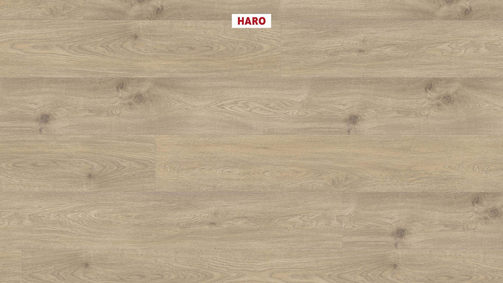 DISANO by HARO WaveAqua Landhausdiele XL 4V Eiche Whistler kieselgrau* authentic Top Connect