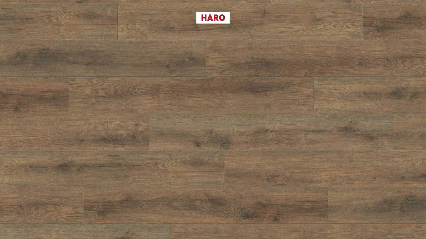 HARO Laminatboden Sonderedition NKL31 Landhausdiele Eiche Scarpa geräuchert* strukturiert matt Silent Pro Top Connect