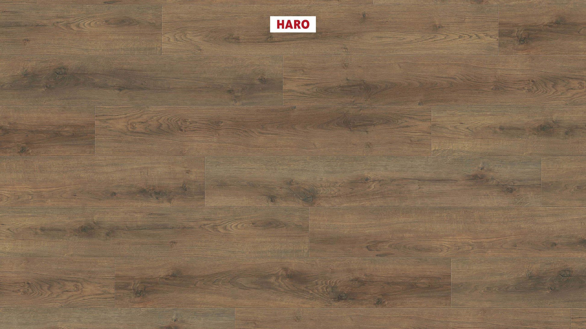 HARO Laminatboden Sonderedition NKL31 Landhausdiele Eiche Scarpa geräuchert* strukturiert matt Silent Pro Top Connect