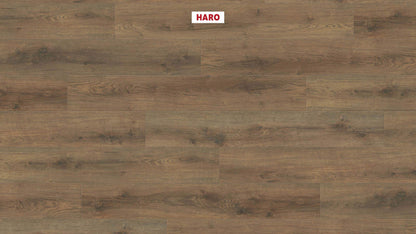 HARO Laminatboden Sonderedition NKL31 Landhausdiele Eiche Scarpa geräuchert* strukturiert matt Silent Pro Top Connect