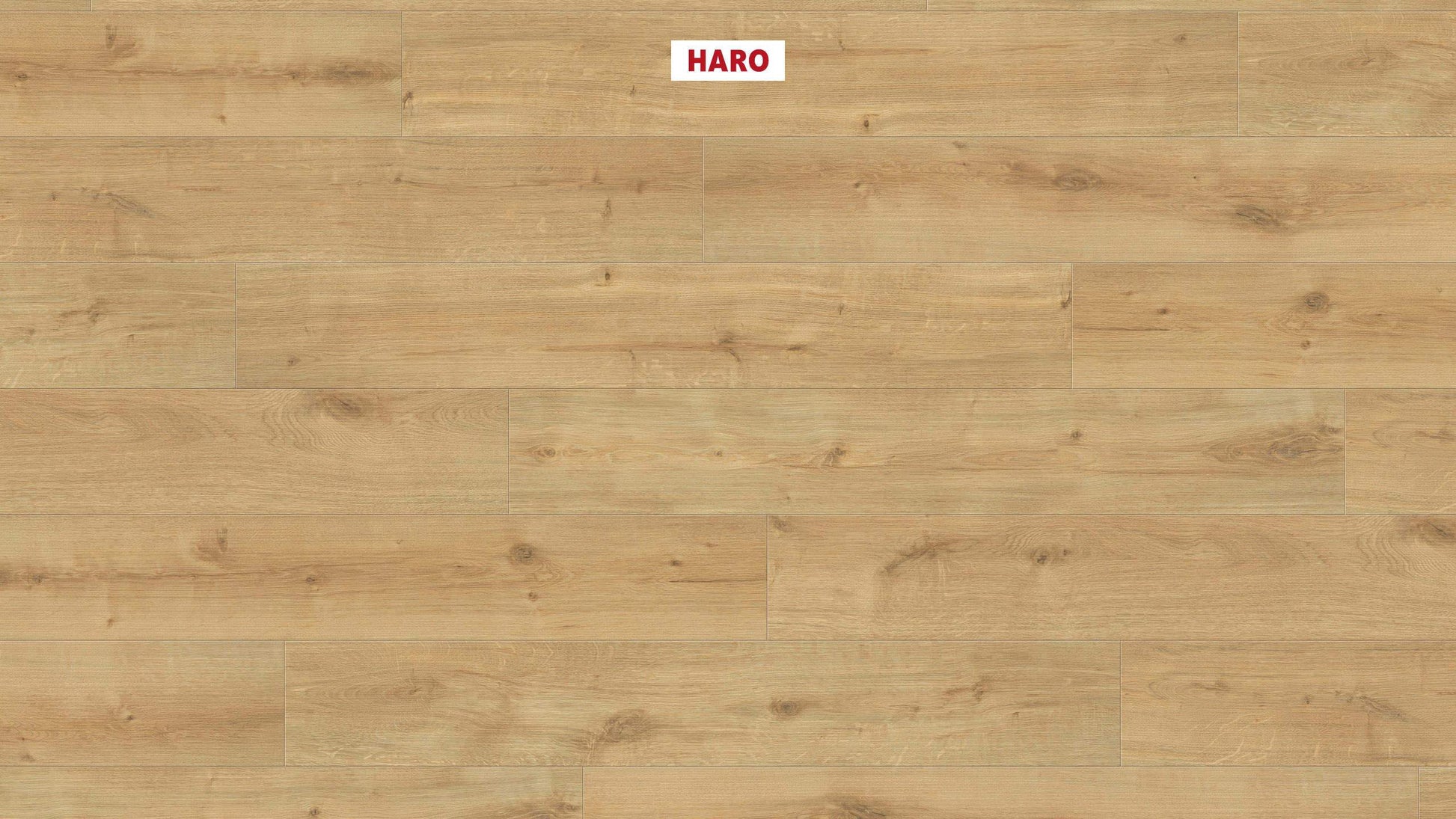 HARO Laminatboden Sonderedition NKL31 Landhausdiele Eiche Siena puro* strukturiert matt Top Connect