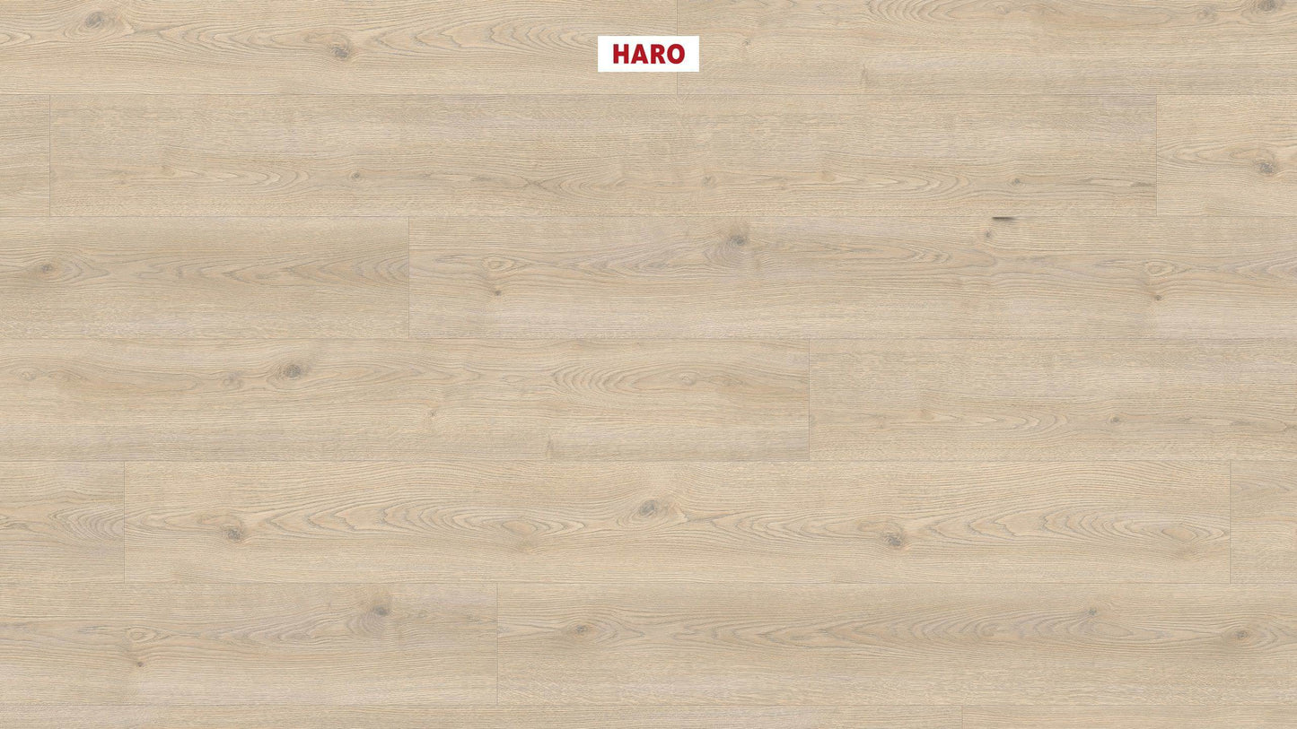 HARO Laminatboden TRITTY 100 Gran Via 4V Eiche Contura steingrau* authentic Silent CT Top Connect