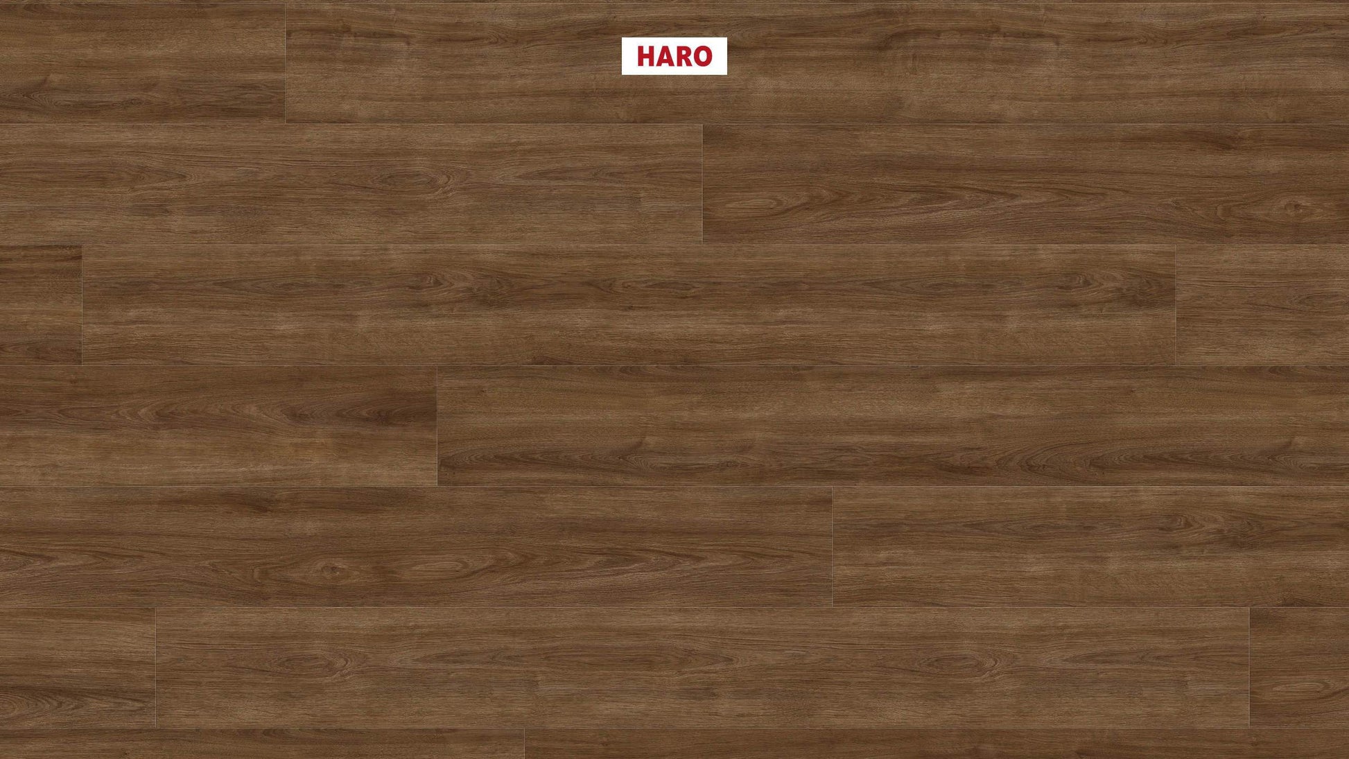 HARO Laminatboden TRITTY 100 Gran Via 4V Eiche Eleganza geräuchert* authentic Top Connect