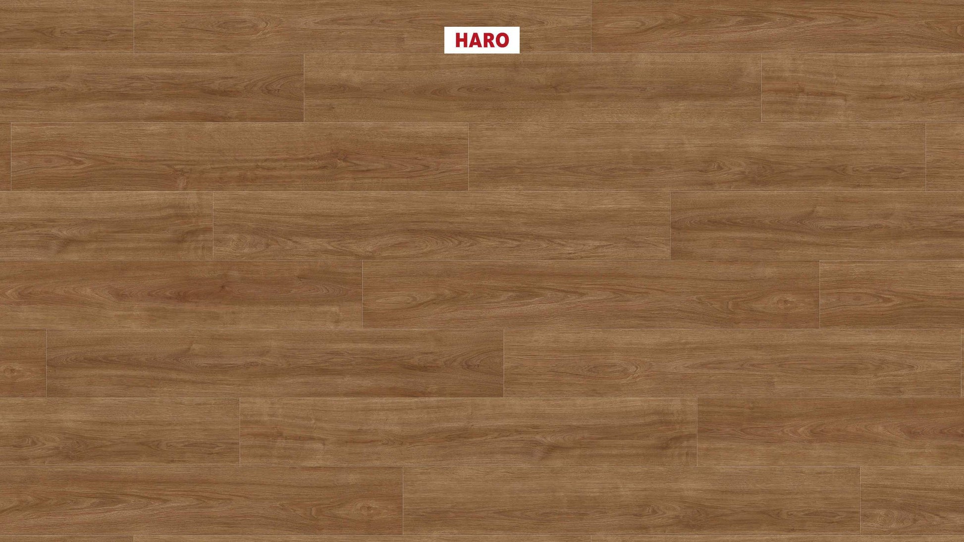 HARO Laminatboden TRITTY 100 Gran Via 4V Eiche Eleganza natur* authentic Top Connect