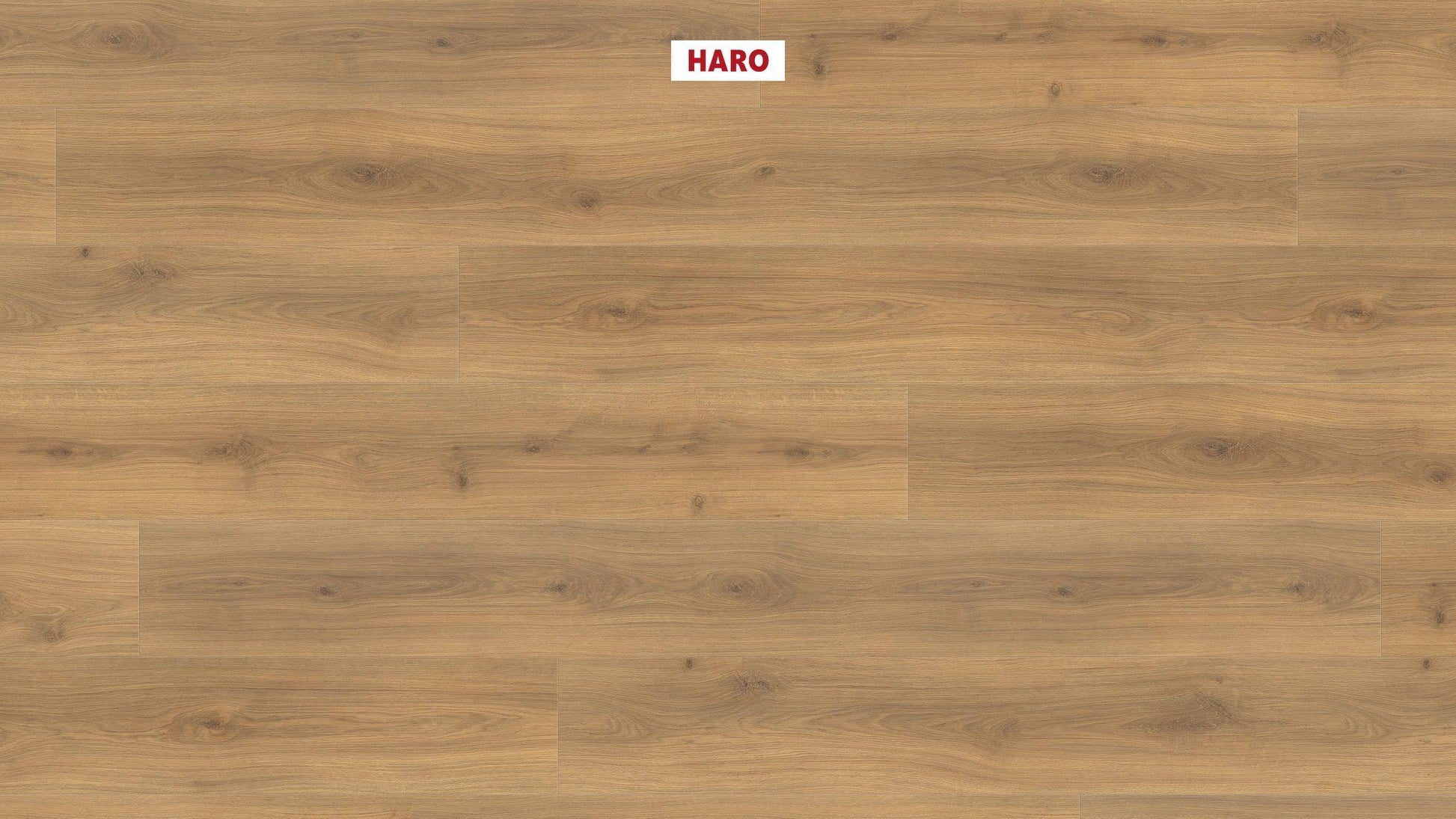 HARO Laminatboden TRITTY 100 Gran Via 4V Eiche Emilia Honig* authentic soft Silent Pro Top Connect
