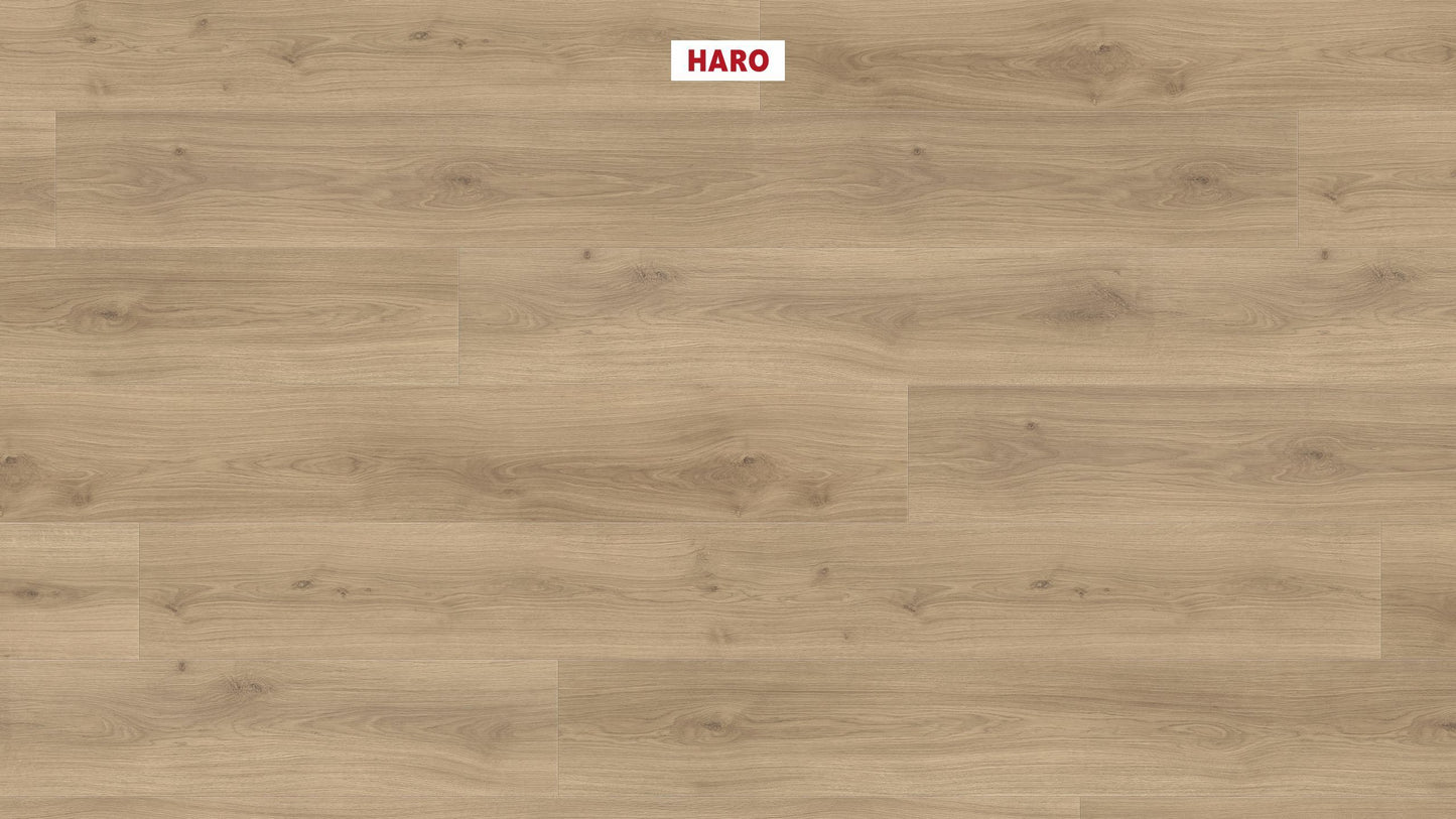 HARO Laminatboden TRITTY 100 Gran Via 4V Eiche Emilia puro* authentic soft Top Connect