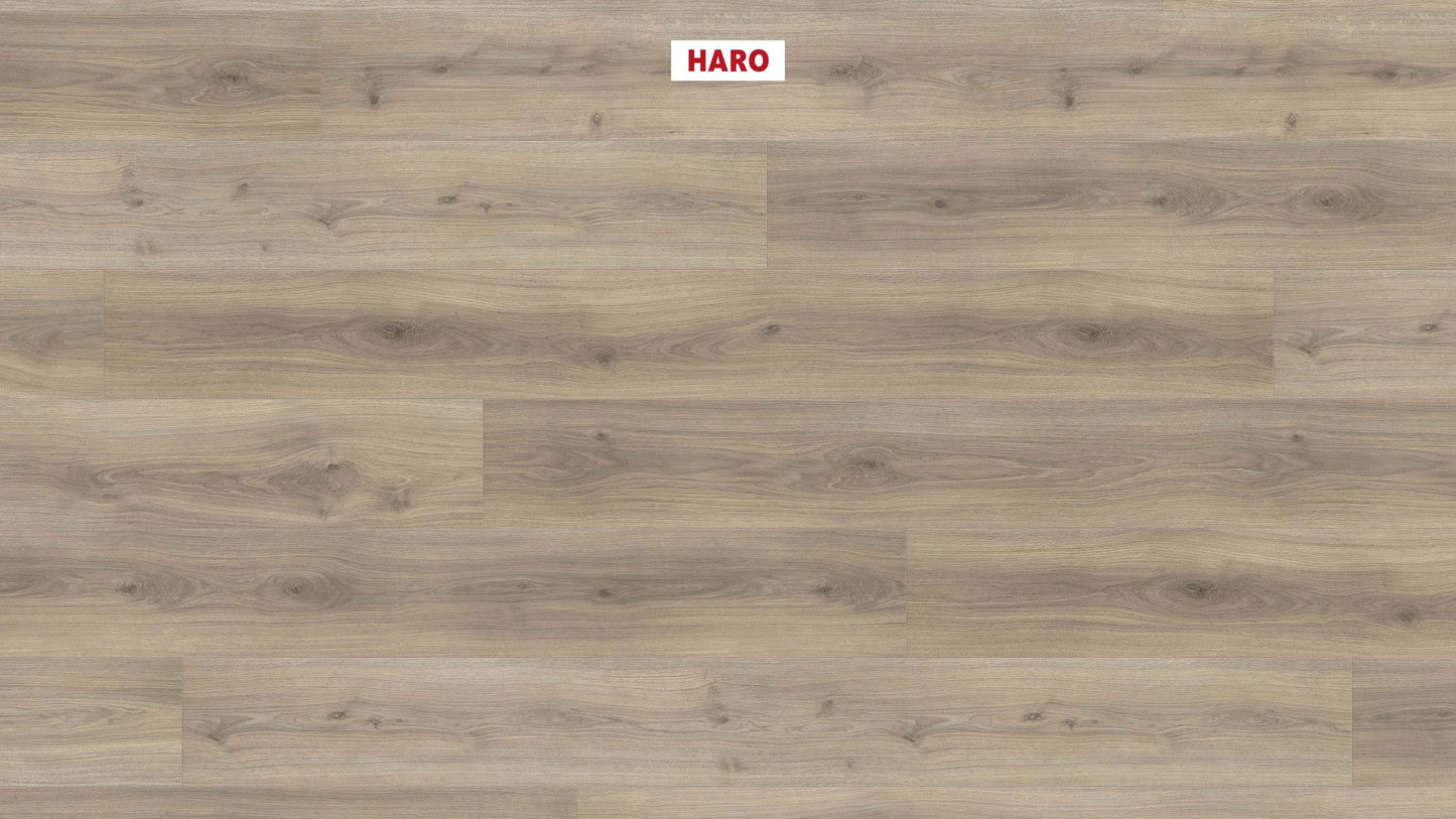 HARO Laminatboden TRITTY 100 Gran Via 4V Eiche Emilia samtgrau* authentic soft Silent CT Top Connect