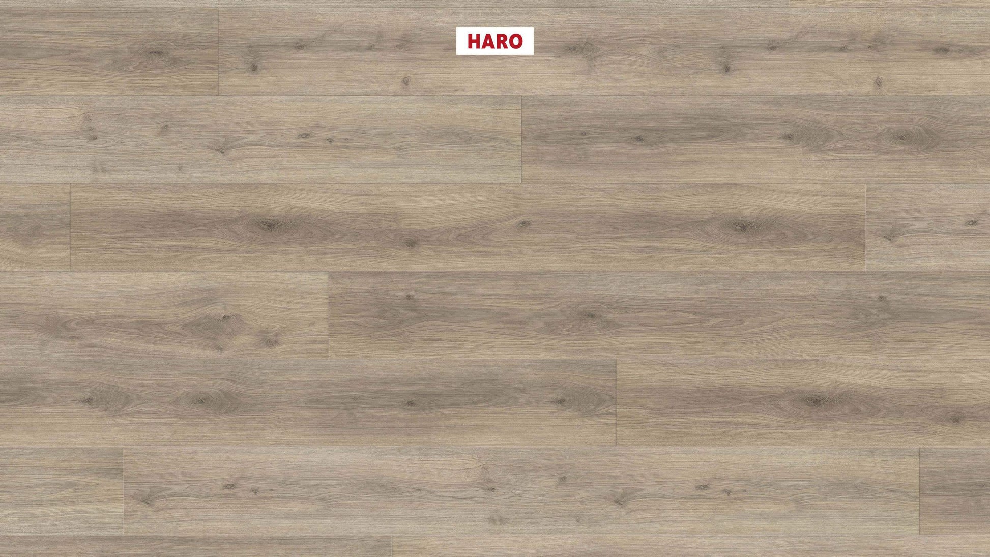 HARO Laminatboden TRITTY 100 Gran Via 4V Eiche Emilia samtgrau* authentic soft Silent CT Top Connect
