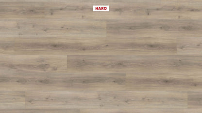 HARO Laminatboden TRITTY 100 Gran Via 4V Eiche Emilia samtgrau* authentic soft Silent CT Top Connect