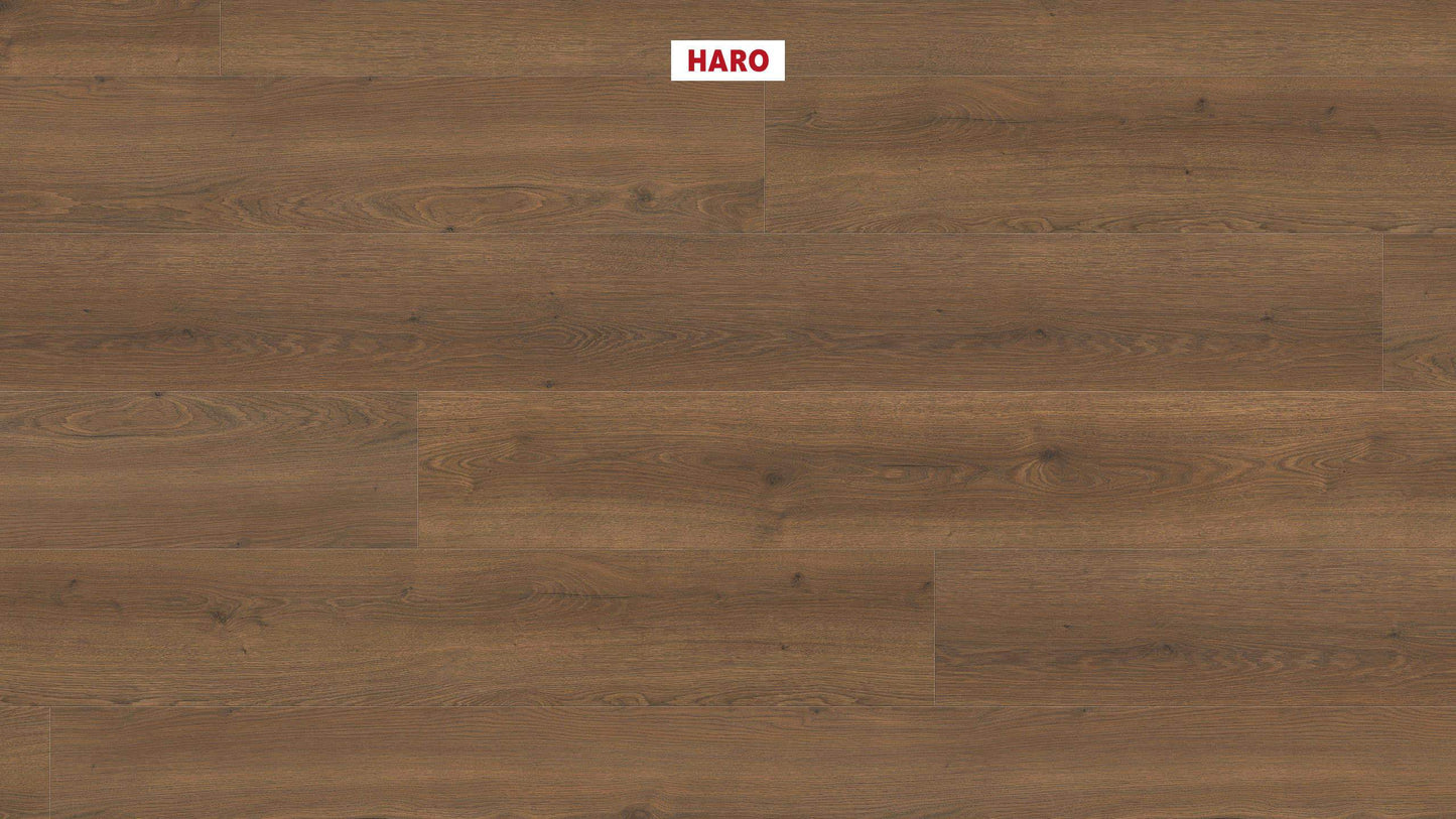 HARO Laminatboden TRITTY 100 Gran Via 4V Eiche Flavia geräuchert* authentic Silent CT Top Connect