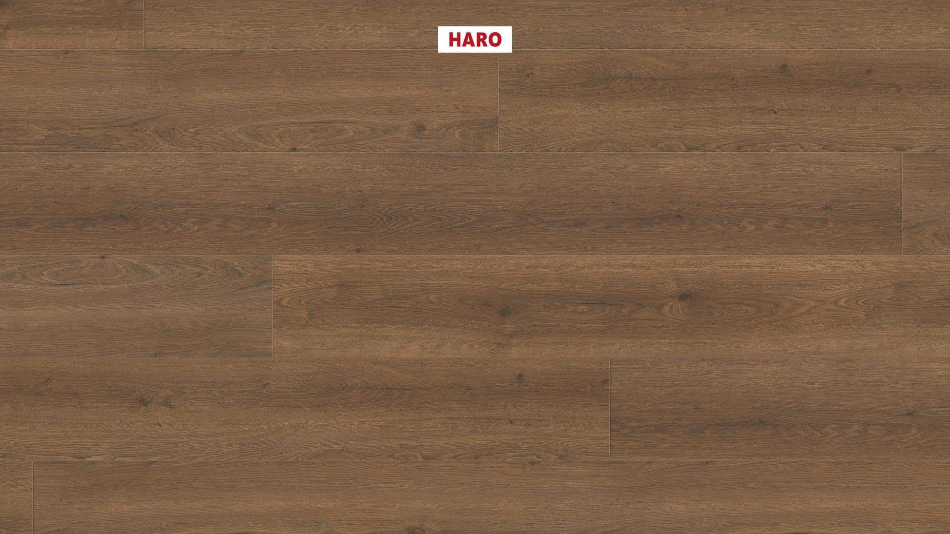 HARO Laminatboden TRITTY 100 Gran Via 4V Eiche Flavia geräuchert* authentic Silent CT Top Connect