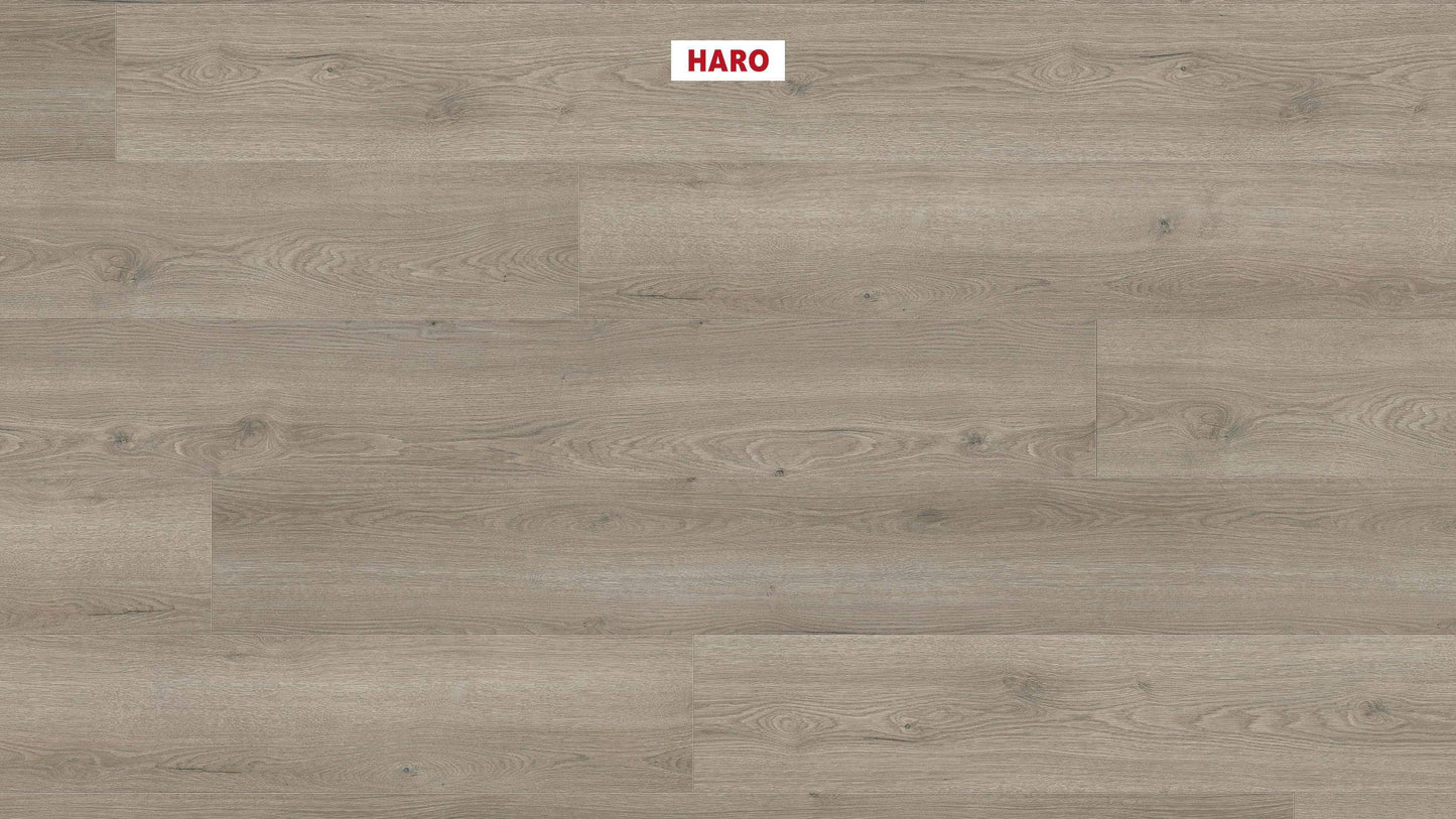 HARO Laminatboden TRITTY 100 Gran Via 4V Eiche Flavia grau* authentic Top Connect