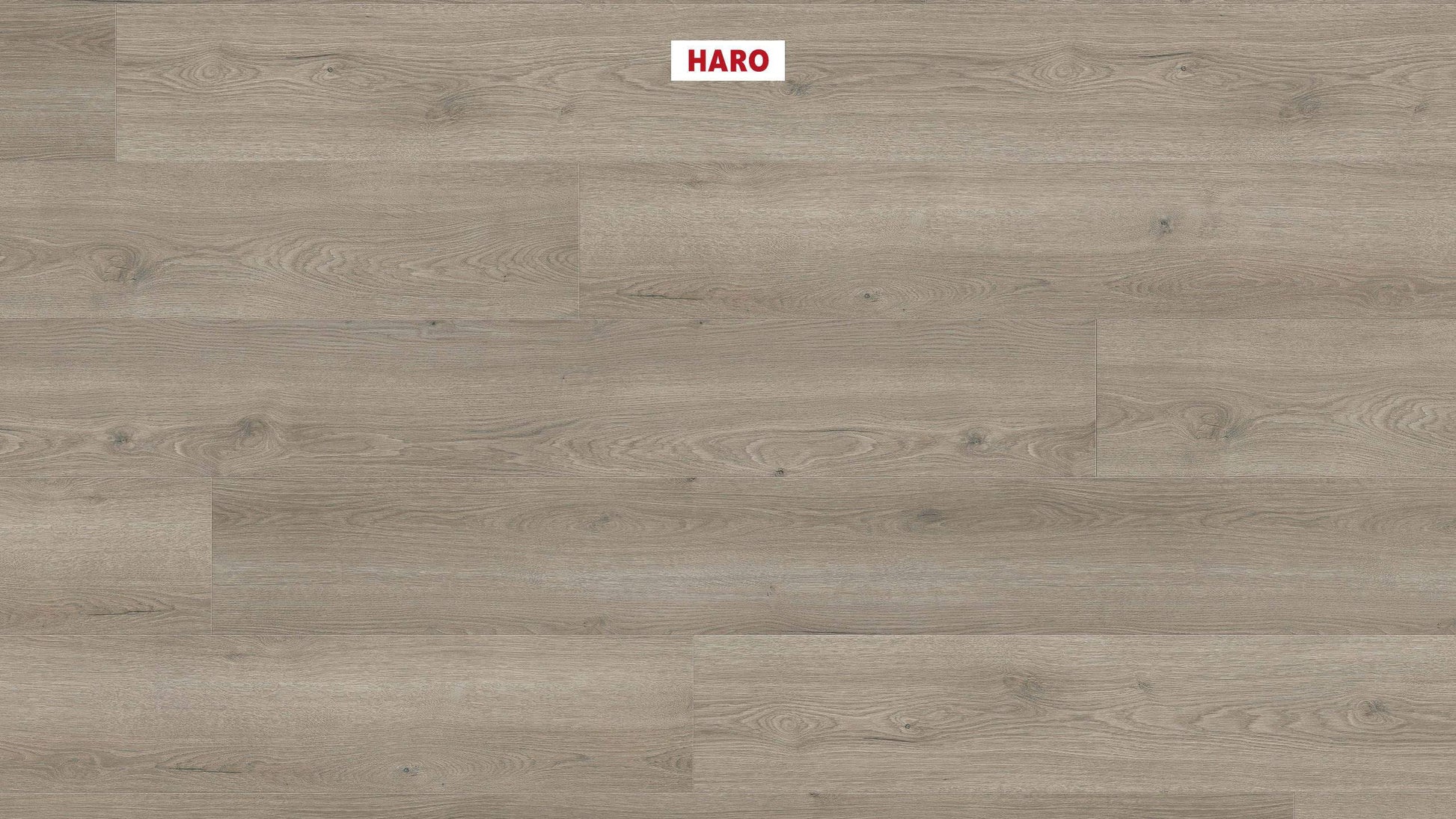 HARO Laminatboden TRITTY 100 Gran Via 4V Eiche Flavia grau* authentic Top Connect
