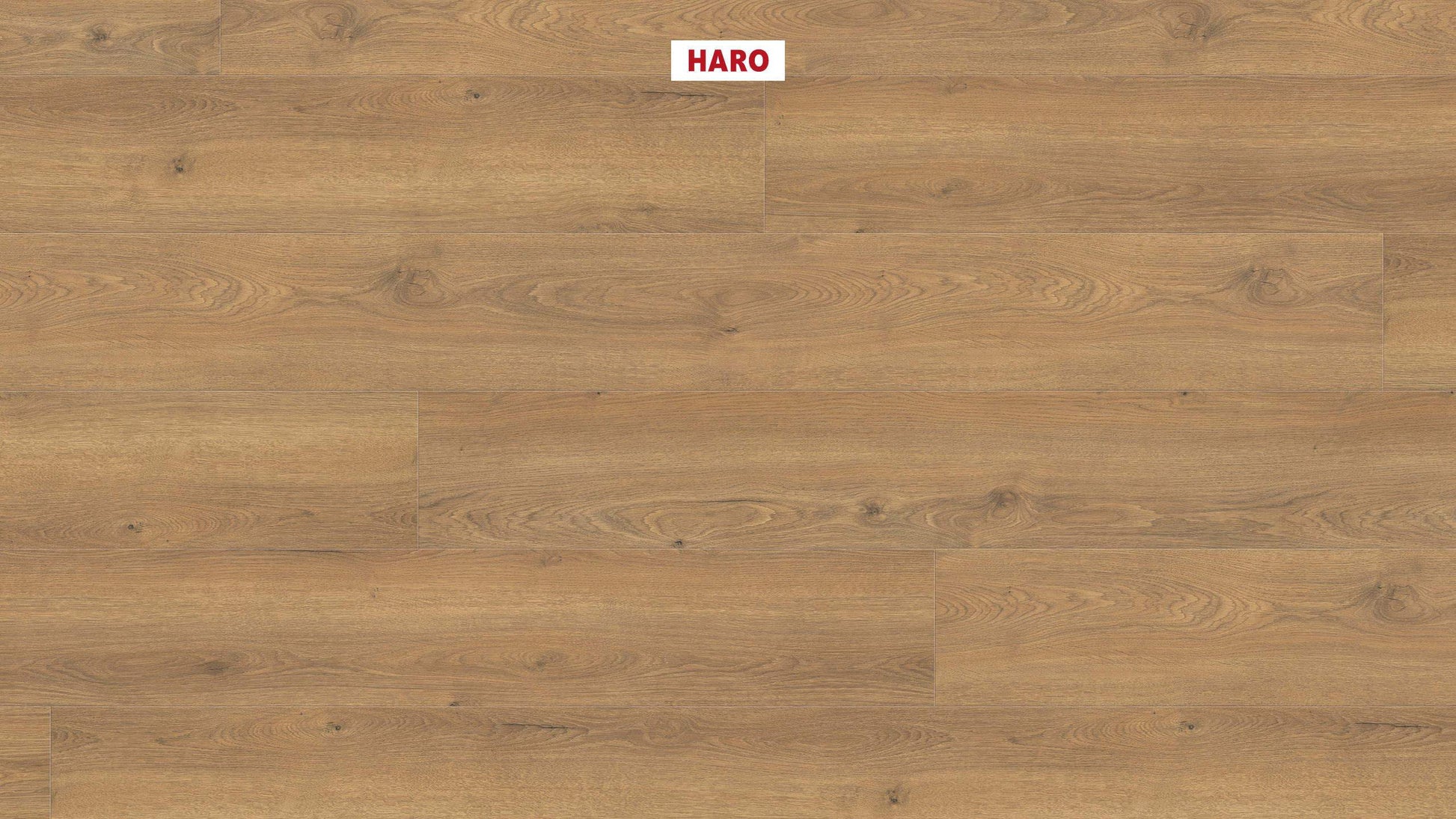 HARO Laminatboden TRITTY 100 Gran Via 4V Eiche Flavia natur* authentic Top Connect