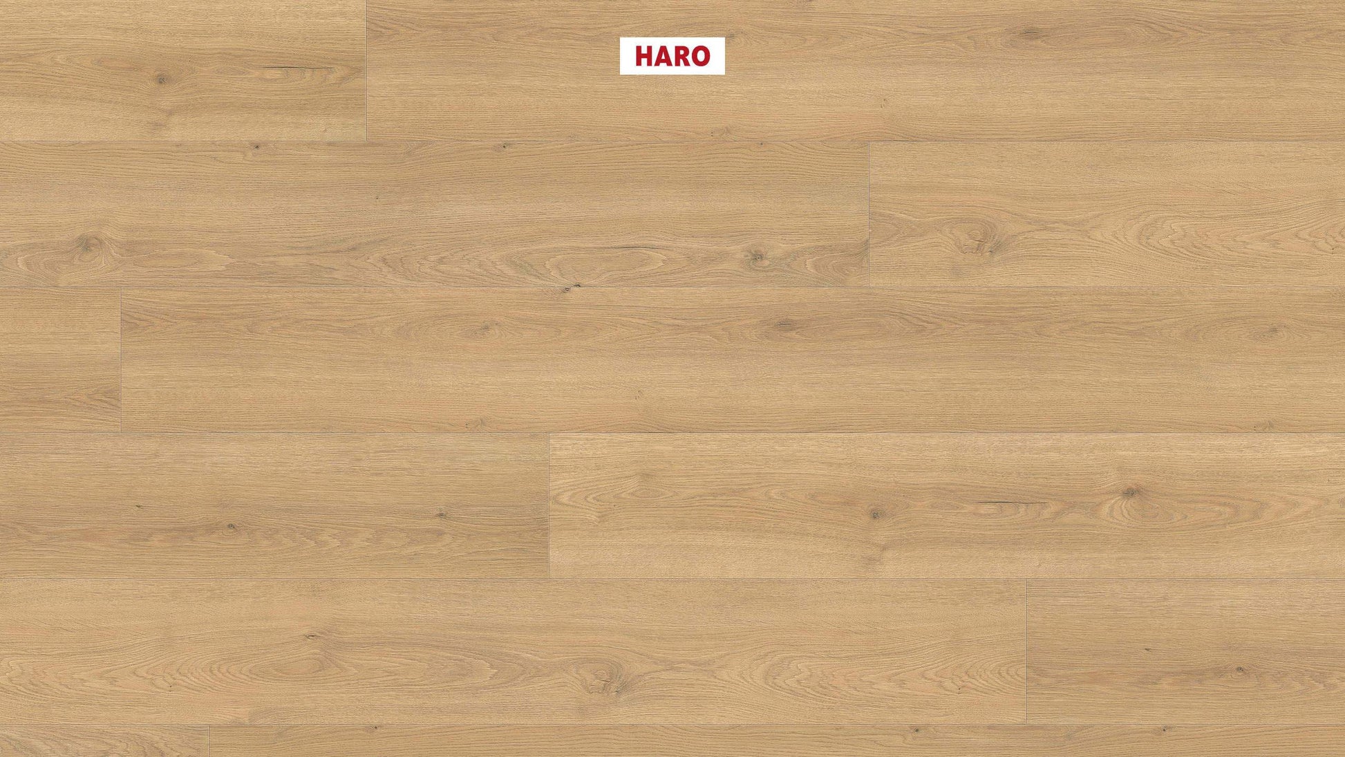 HARO Laminatboden TRITTY 100 Gran Via 4V Eiche Flavia puro* authentic Top Connect