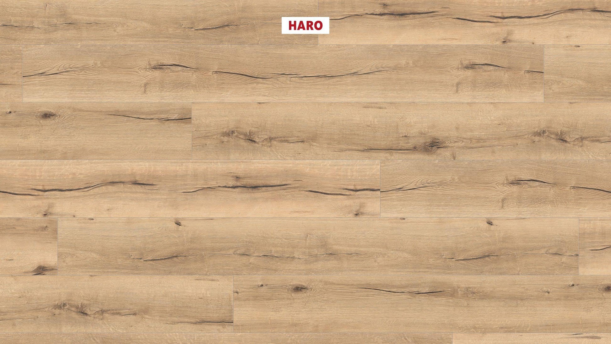 HARO Laminatboden TRITTY 100 Gran Via 4V Eiche italica creme* authentic Silent CT Top Connect