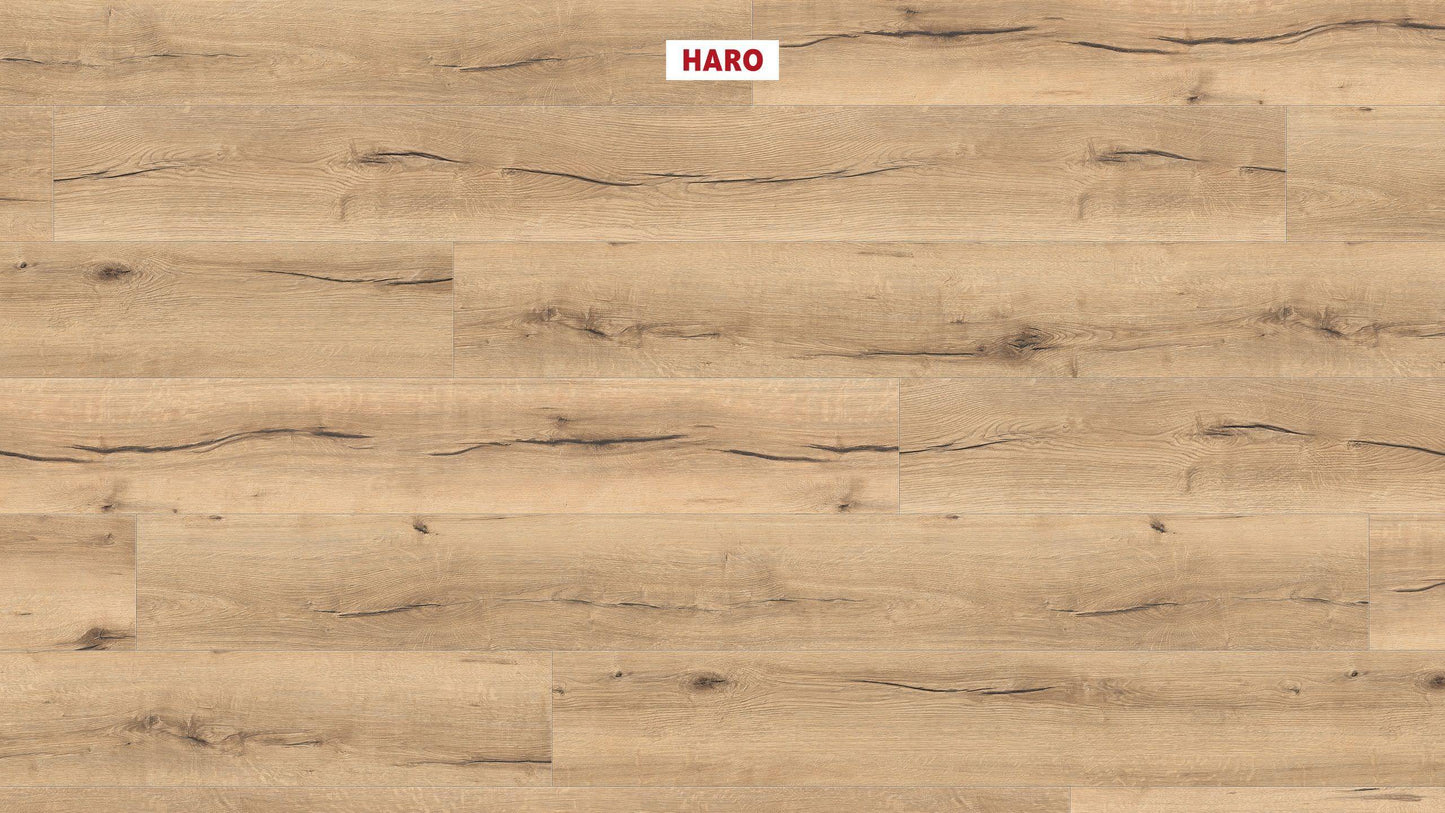 HARO Laminatboden TRITTY 100 Gran Via 4V Eiche italica creme* authentic Silent Pro Top Connect