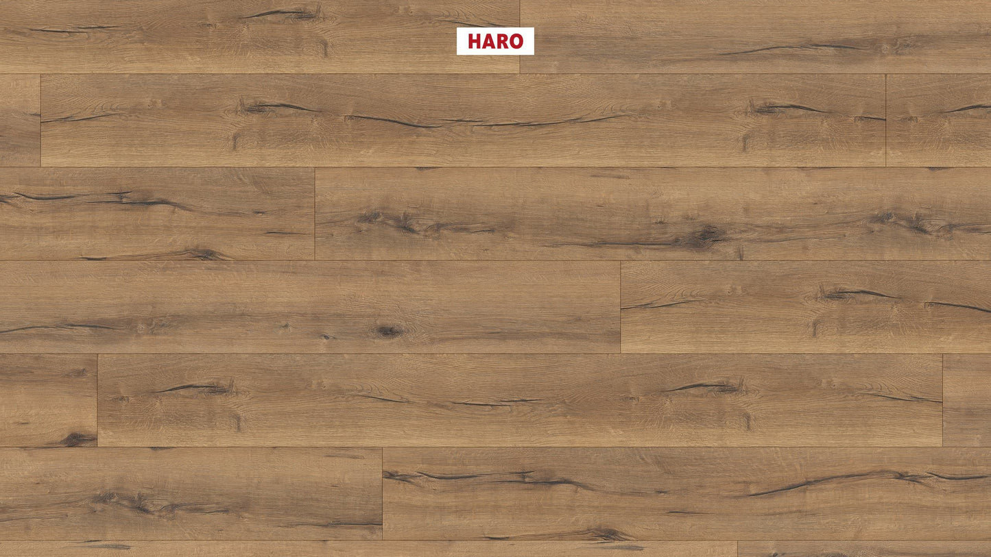 HARO Laminatboden TRITTY 100 Gran Via 4V Eiche italica natur* authentic Silent CT Top Connect