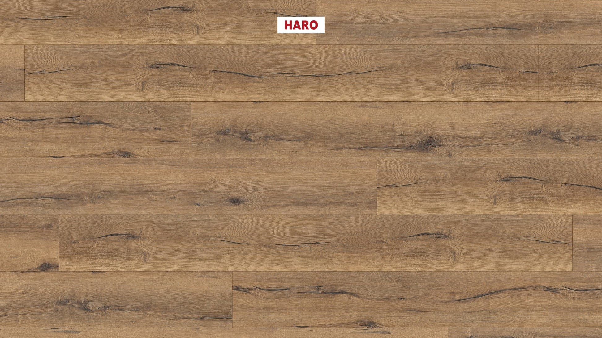 HARO Laminatboden TRITTY 100 Gran Via 4V Eiche italica natur* authentic Silent CT Top Connect