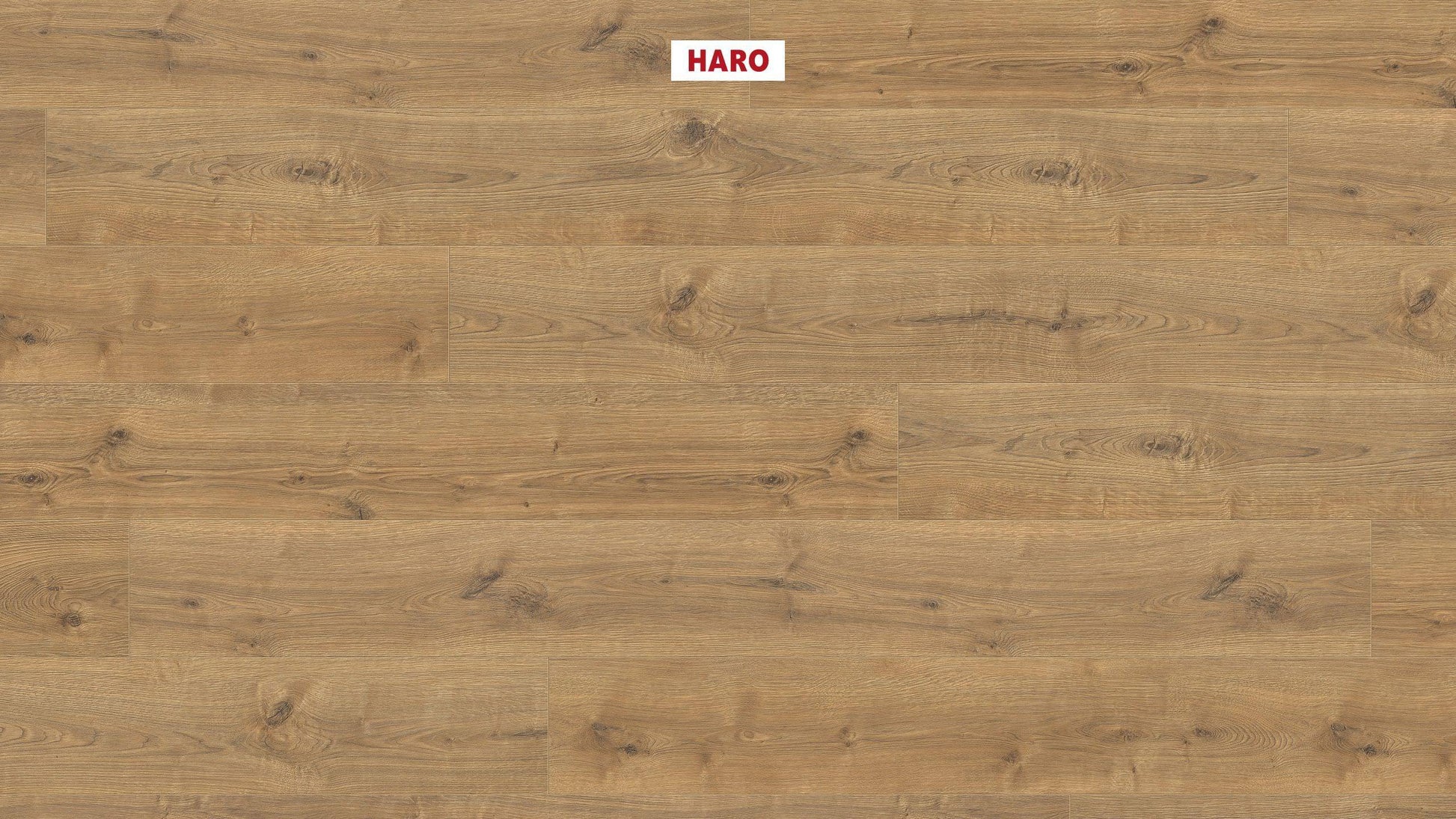 HARO Laminatboden TRITTY 100 Gran Via 4V Eiche Portland natur* authentic Silent CT Top Connect