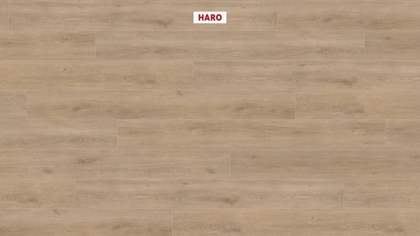 HARO Laminatboden TRITTY 100 Gran Via 4V Eiche Veneto crema* authentic matt Silent CT Top Connect