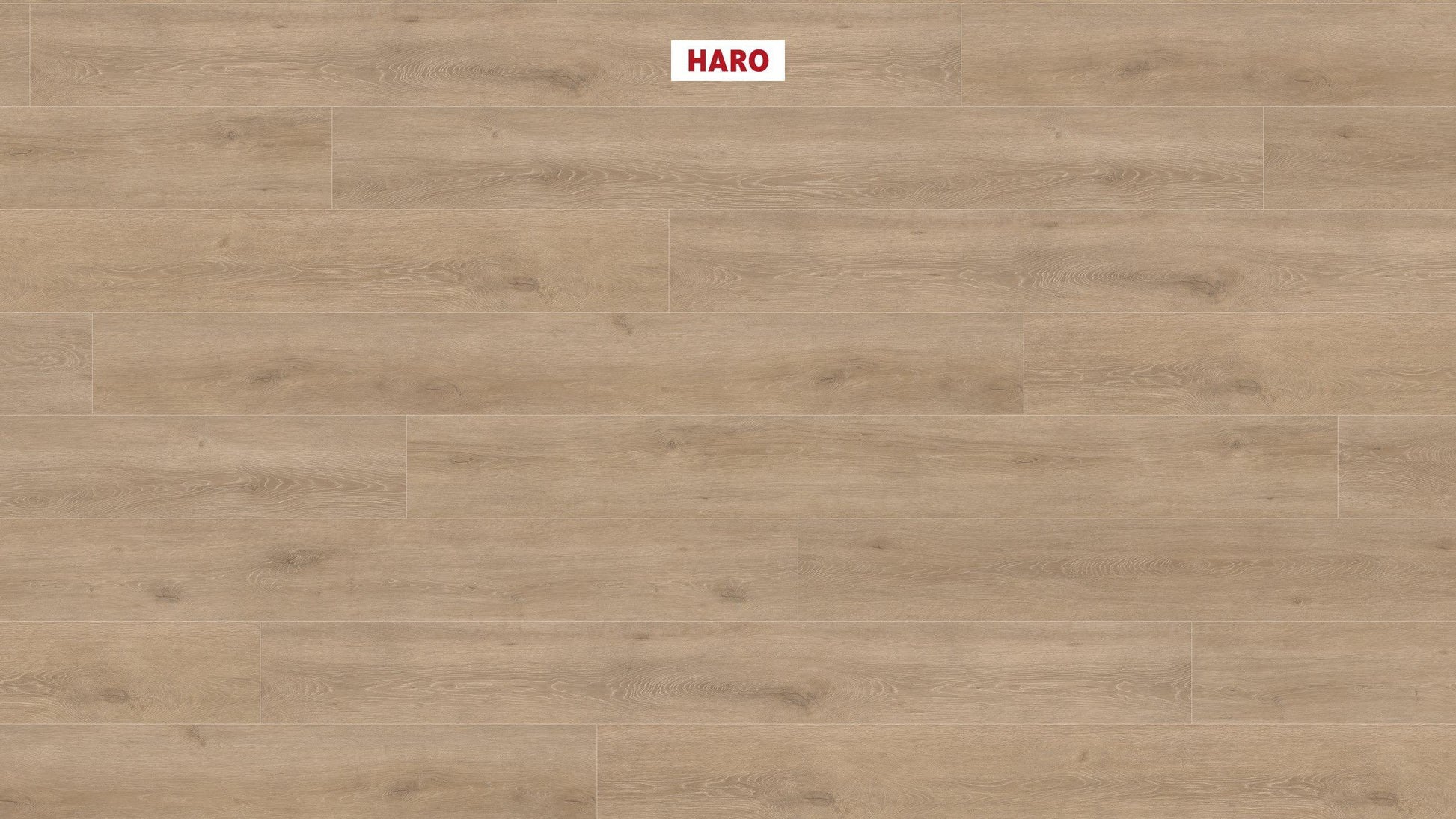 HARO Laminatboden TRITTY 100 Gran Via 4V Eiche Veneto crema* authentic matt Silent Pro Top Connect