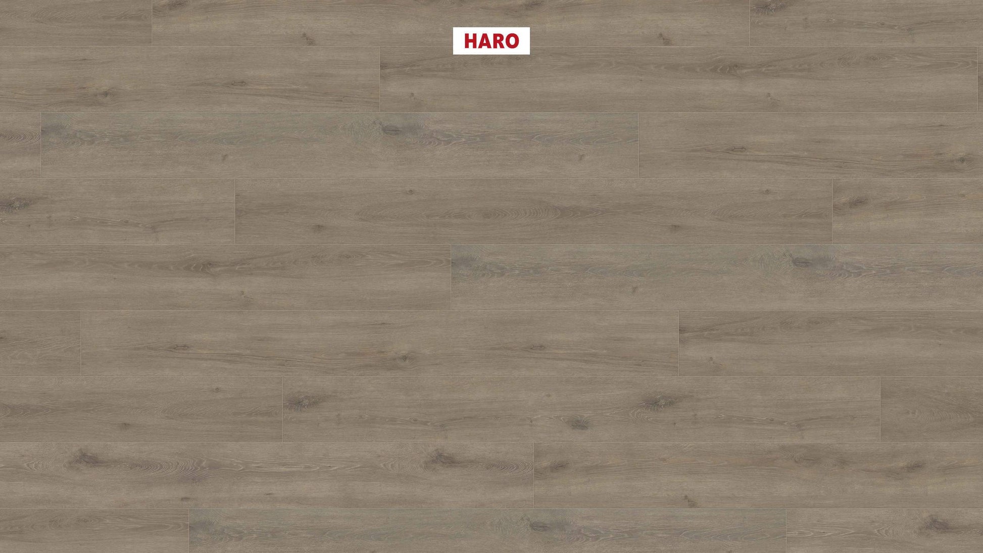 HARO Laminatboden TRITTY 100 Gran Via 4V Eiche Veneto mocca* authentic matt Silent CT Top Connect