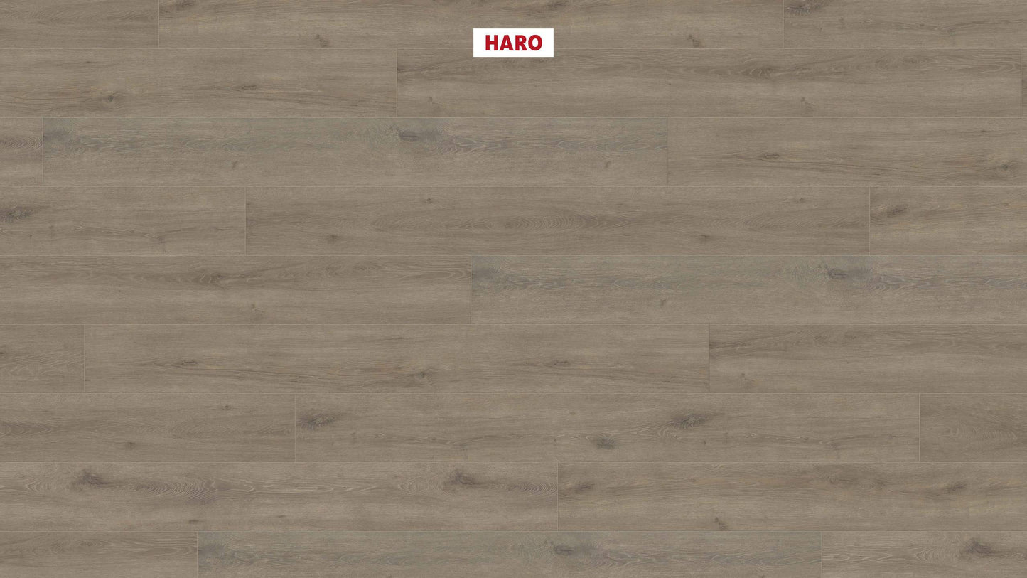 HARO Laminatboden TRITTY 100 Gran Via 4V Eiche Veneto mocca* authentic matt Top Connect