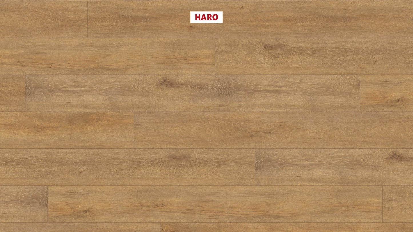 HARO Laminatboden TRITTY 100 Gran Via 4V Eiche Veneto natur* authentic matt Silent CT Top Connect