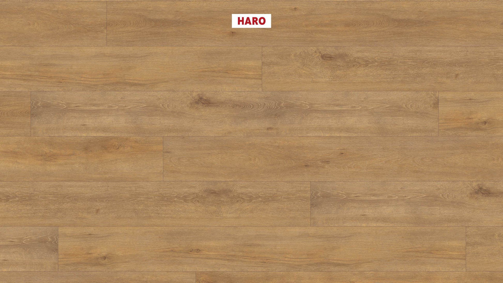 HARO Laminatboden TRITTY 100 Gran Via 4V Eiche Veneto natur* authentic matt Silent CT Top Connect