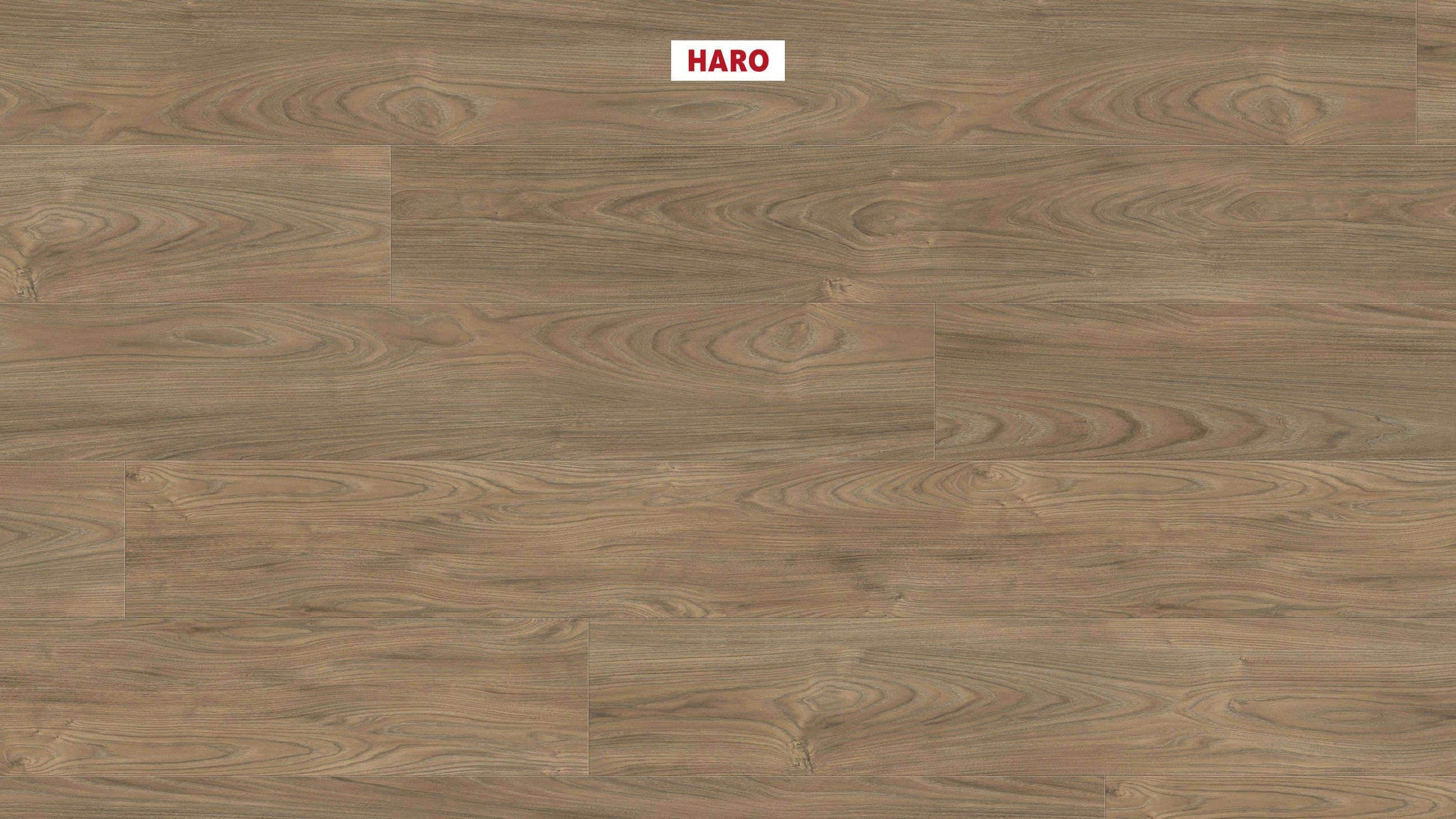 HARO Laminatboden TRITTY 100 Gran Via 4V Ulme Vario* authentic soft Silent Pro Top Connect