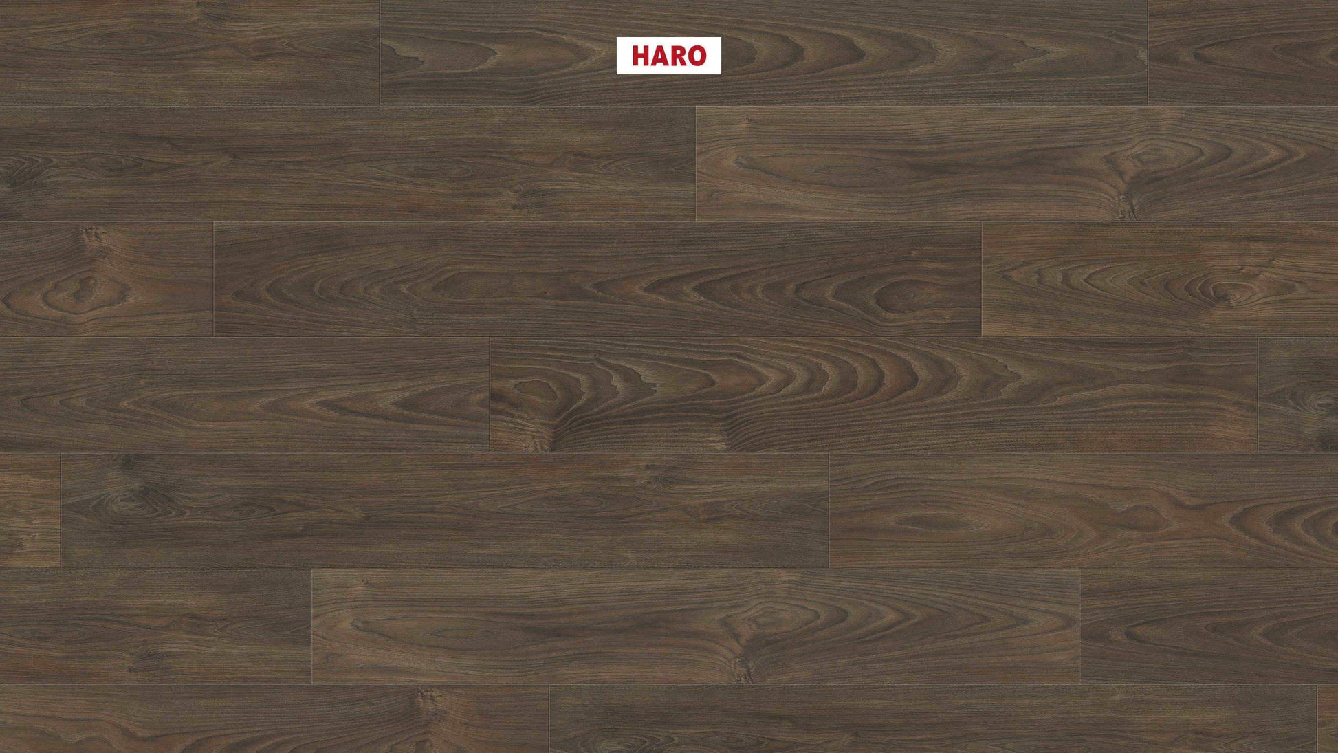 HARO Laminatboden TRITTY 100 Landhausdiele 4V Akazie Vario* authentic soft Silent CT Top Connect