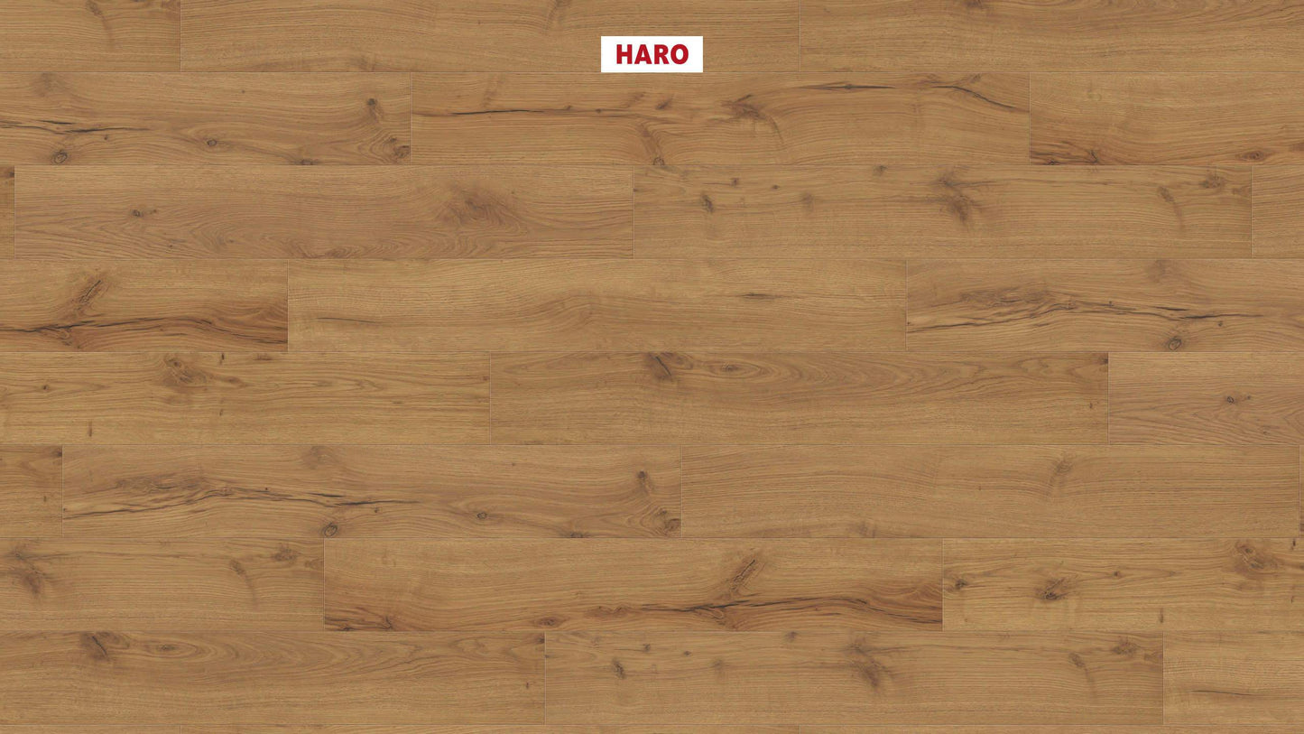 HARO Laminatboden TRITTY 100 Landhausdiele 4V Alpineiche natur* authentic matt Silent CT Top Connect