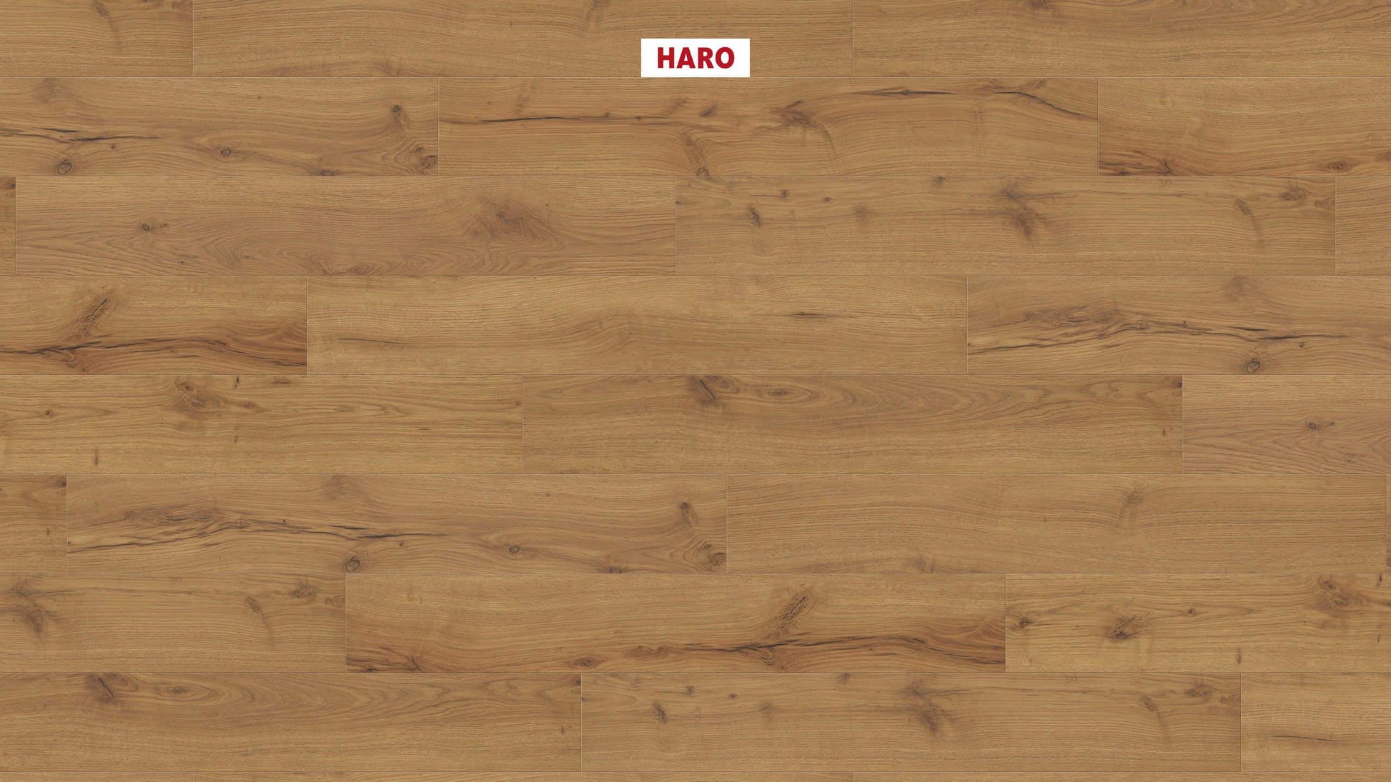 HARO Laminatboden TRITTY 100 Landhausdiele 4V Alpineiche natur* authentic matt Silent CT Top Connect