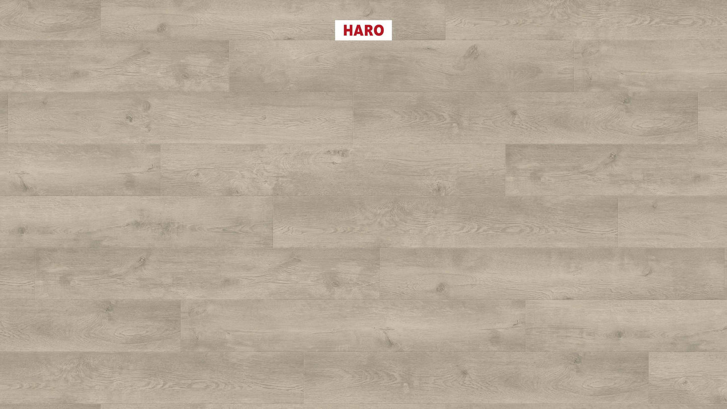 HARO Laminatboden TRITTY 100 Landhausdiele 4V Eiche Bergamo silbergrau* authentic soft Silent CT Top Connect