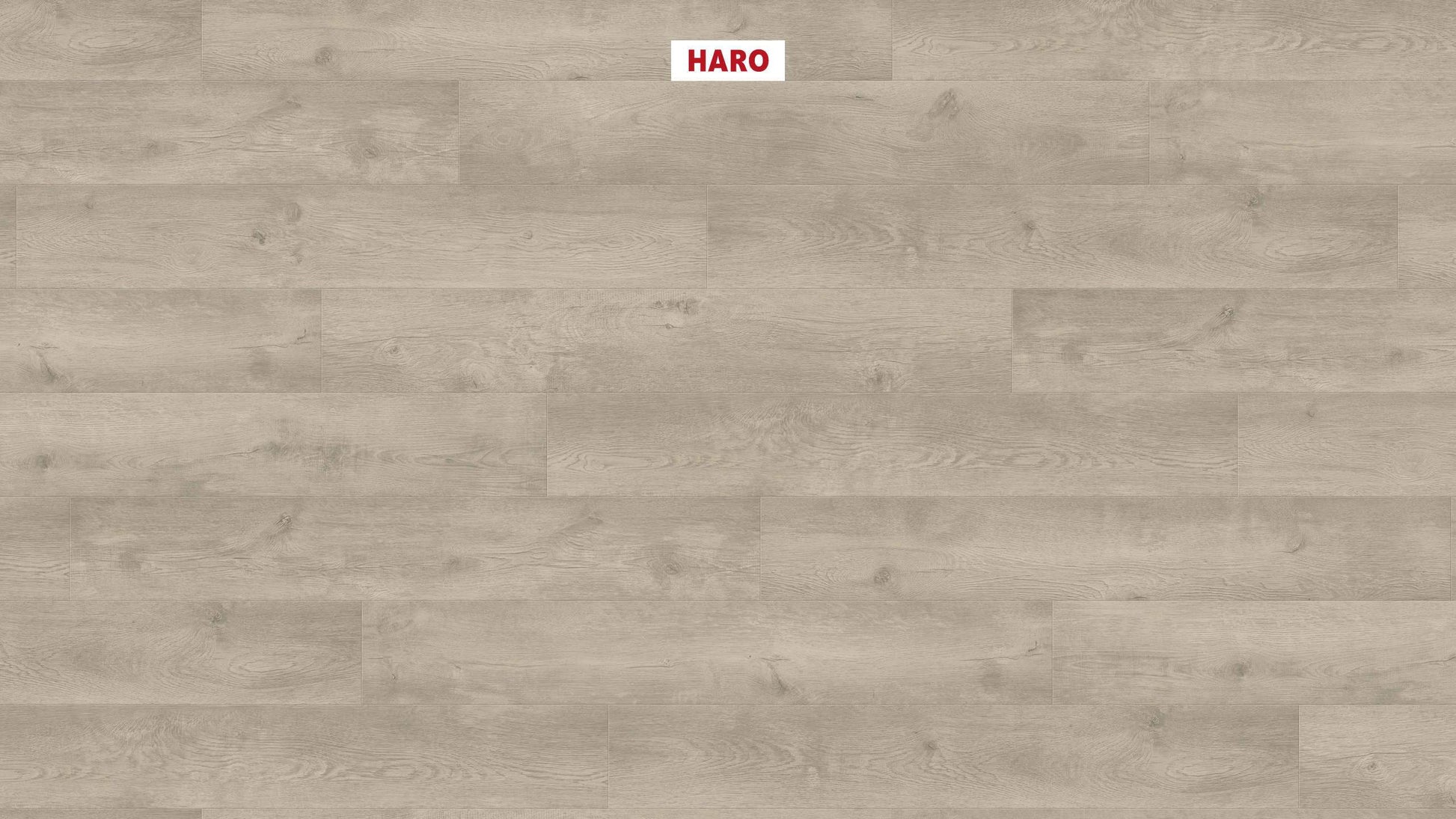 HARO Laminatboden TRITTY 100 Landhausdiele 4V Eiche Bergamo silbergrau* authentic soft Top Connect