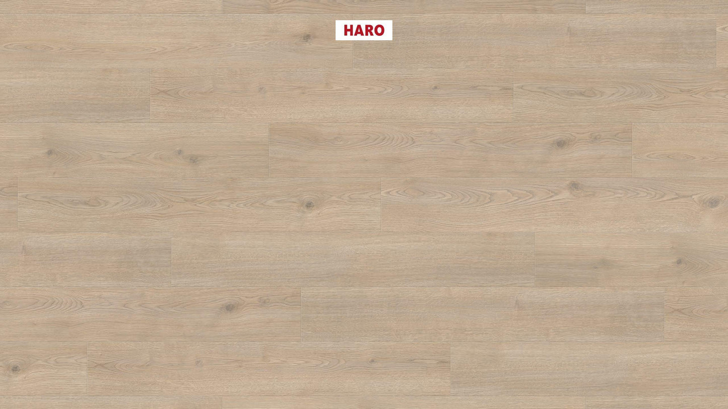 HARO Laminatboden TRITTY 100 Landhausdiele 4V Eiche Contura steingrau* authentic Silent CT Top Connect