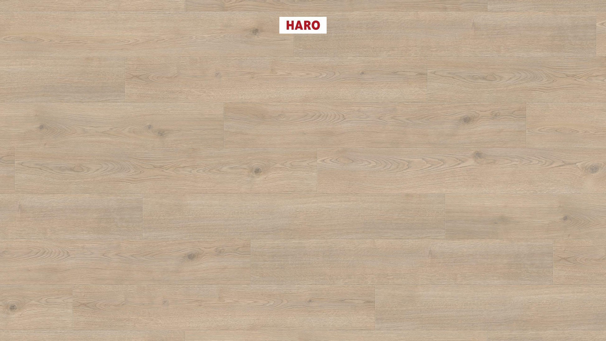 HARO Laminatboden TRITTY 100 Landhausdiele 4V Eiche Contura steingrau* authentic Silent CT Top Connect