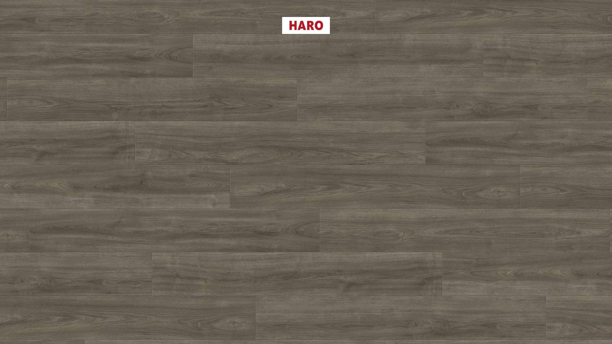 HARO Laminatboden TRITTY 100 Landhausdiele 4V Eiche Eleganza antikgrau* authentic Silent CT Top Connect
