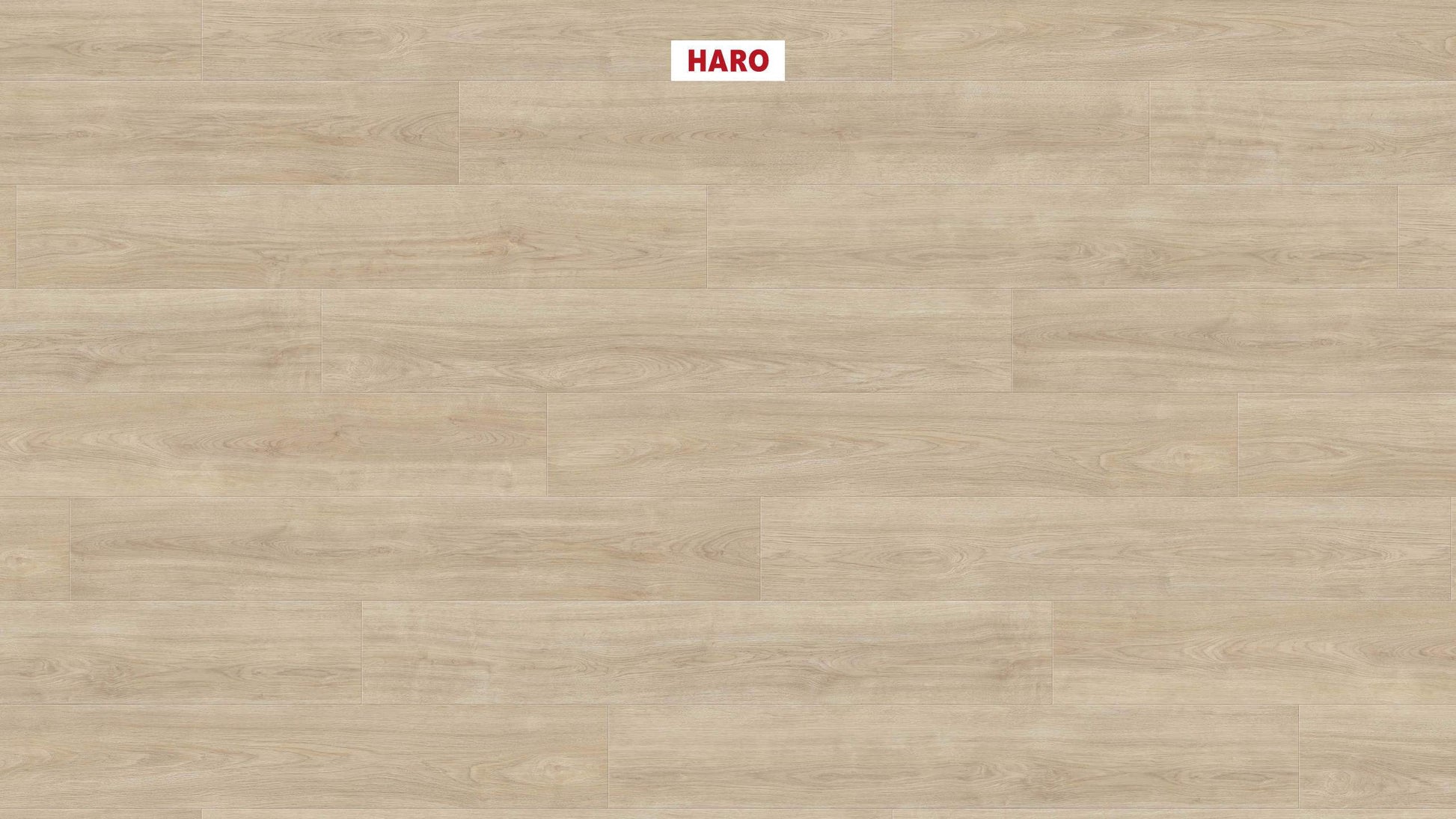 HARO Laminatboden TRITTY 100 Landhausdiele 4V Eiche Eleganza cremeweiß* authentic Silent CT Top Connect