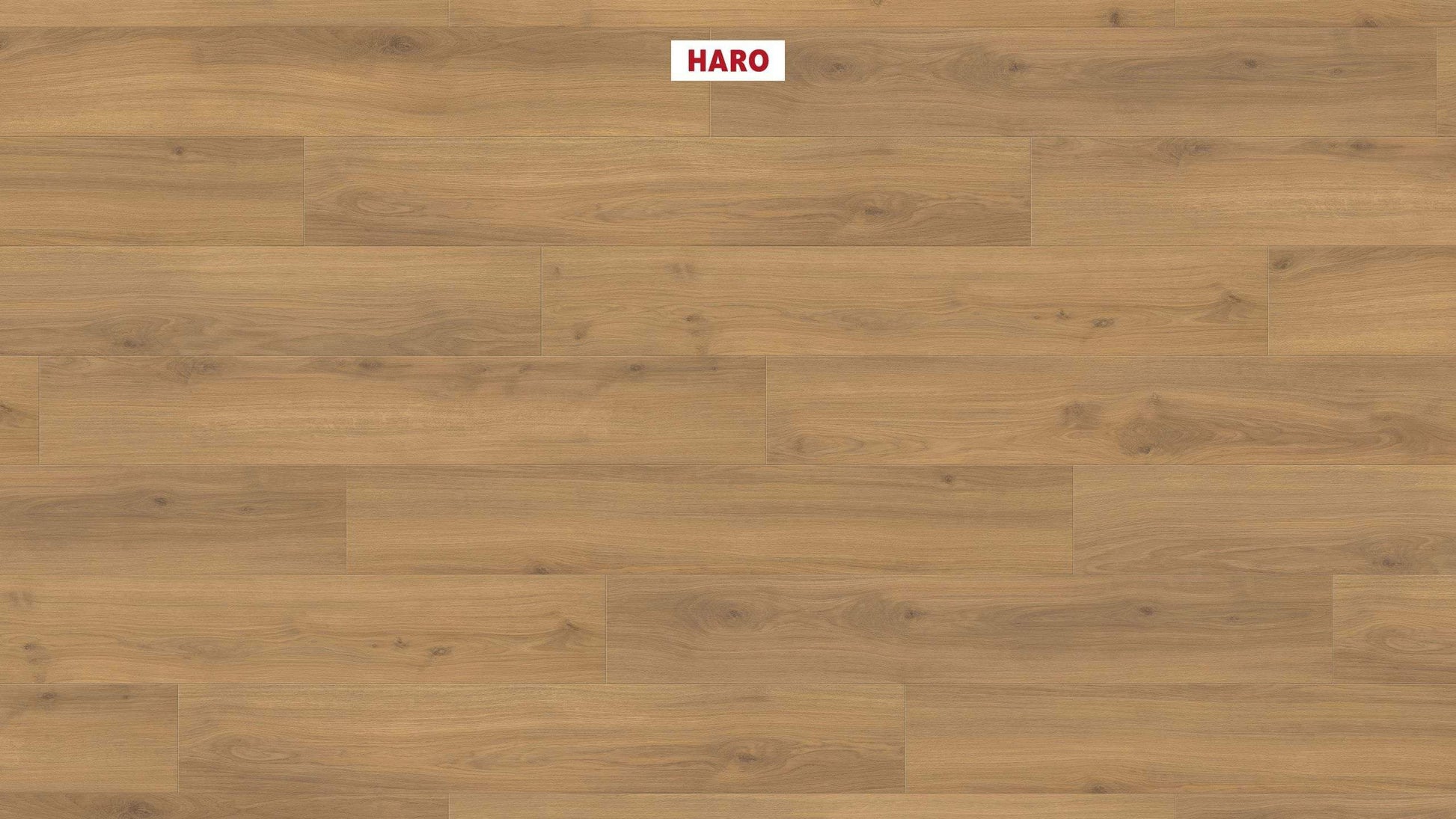 HARO Laminatboden TRITTY 100 Landhausdiele 4V Eiche Emilia Honig* authentic soft Silent CT Top Connect
