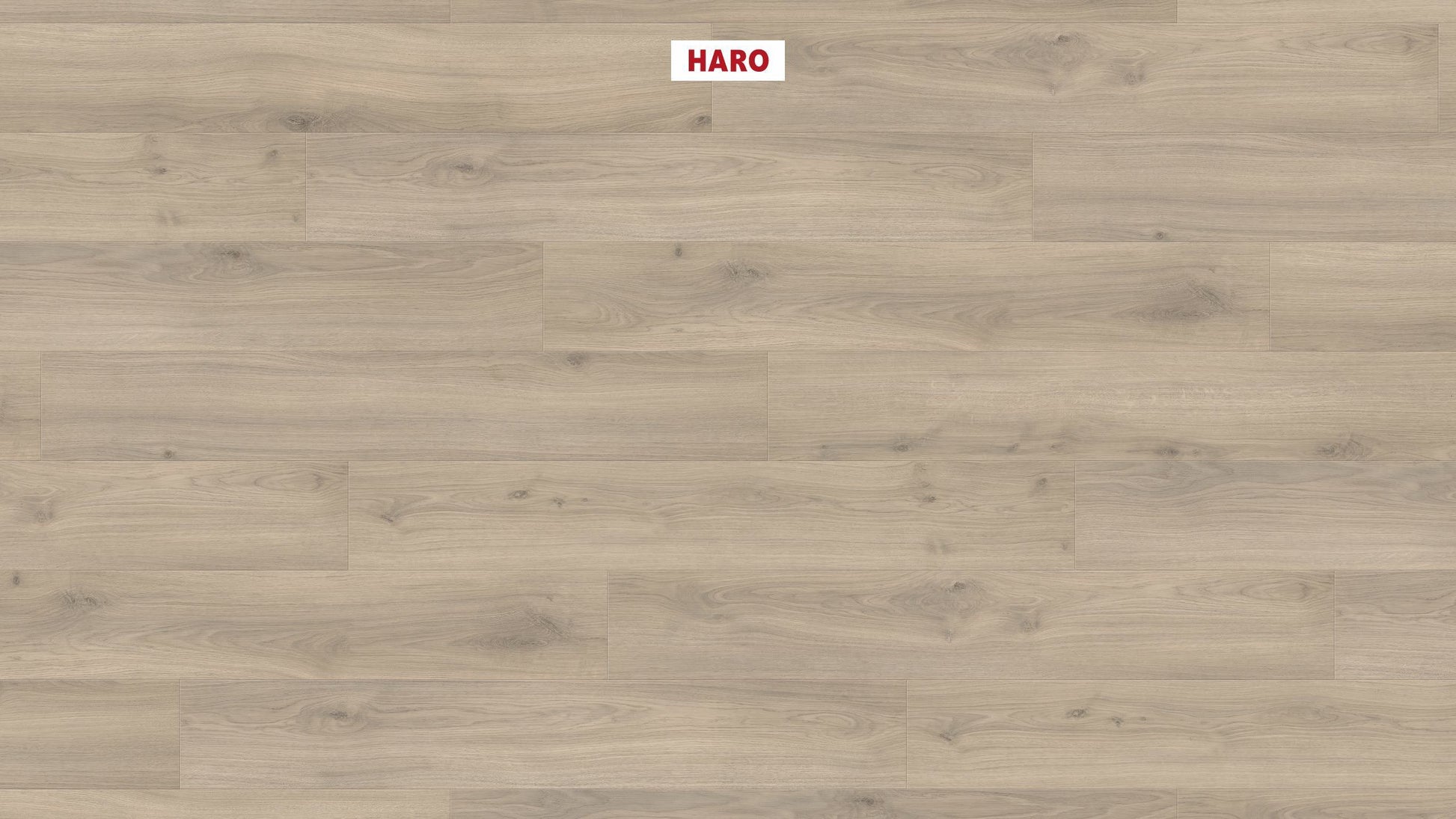 HARO Laminatboden TRITTY 100 Landhausdiele 4V Eiche Emilia samtgrau* authentic soft Silent Pro Top Connect
