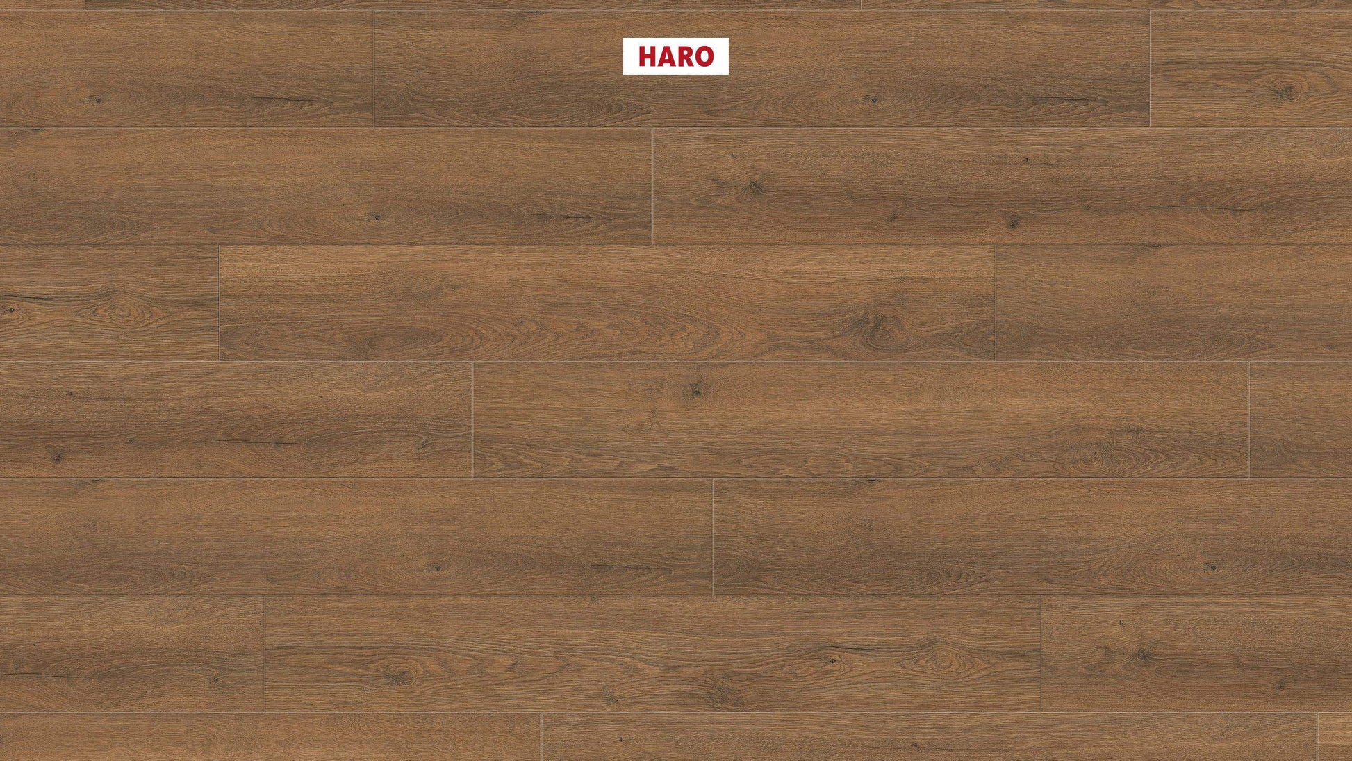 HARO Laminatboden TRITTY 100 Landhausdiele 4V Eiche Flavia geräuchert* authentic Top Connect