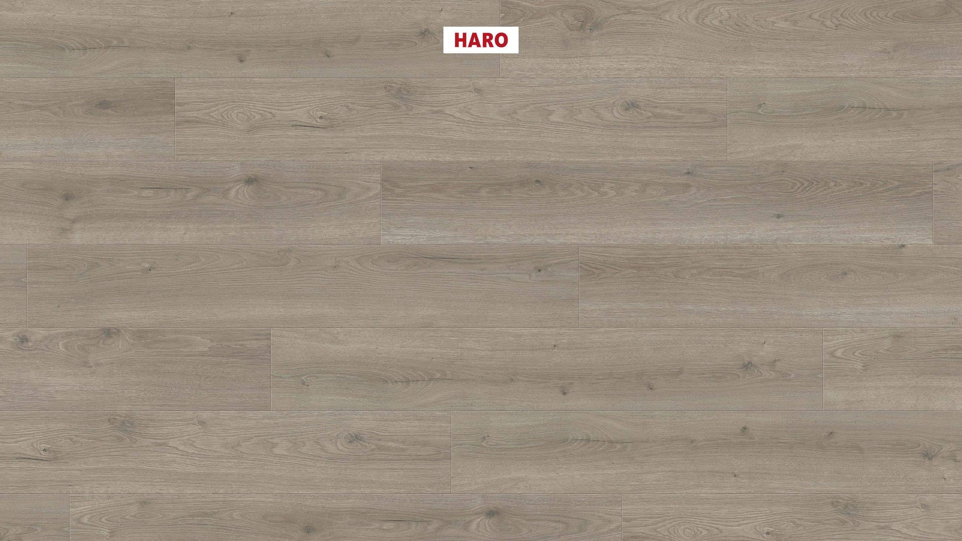 HARO Laminatboden TRITTY 100 Landhausdiele 4V Eiche Flavia grau* authentic Silent CT Top Connect