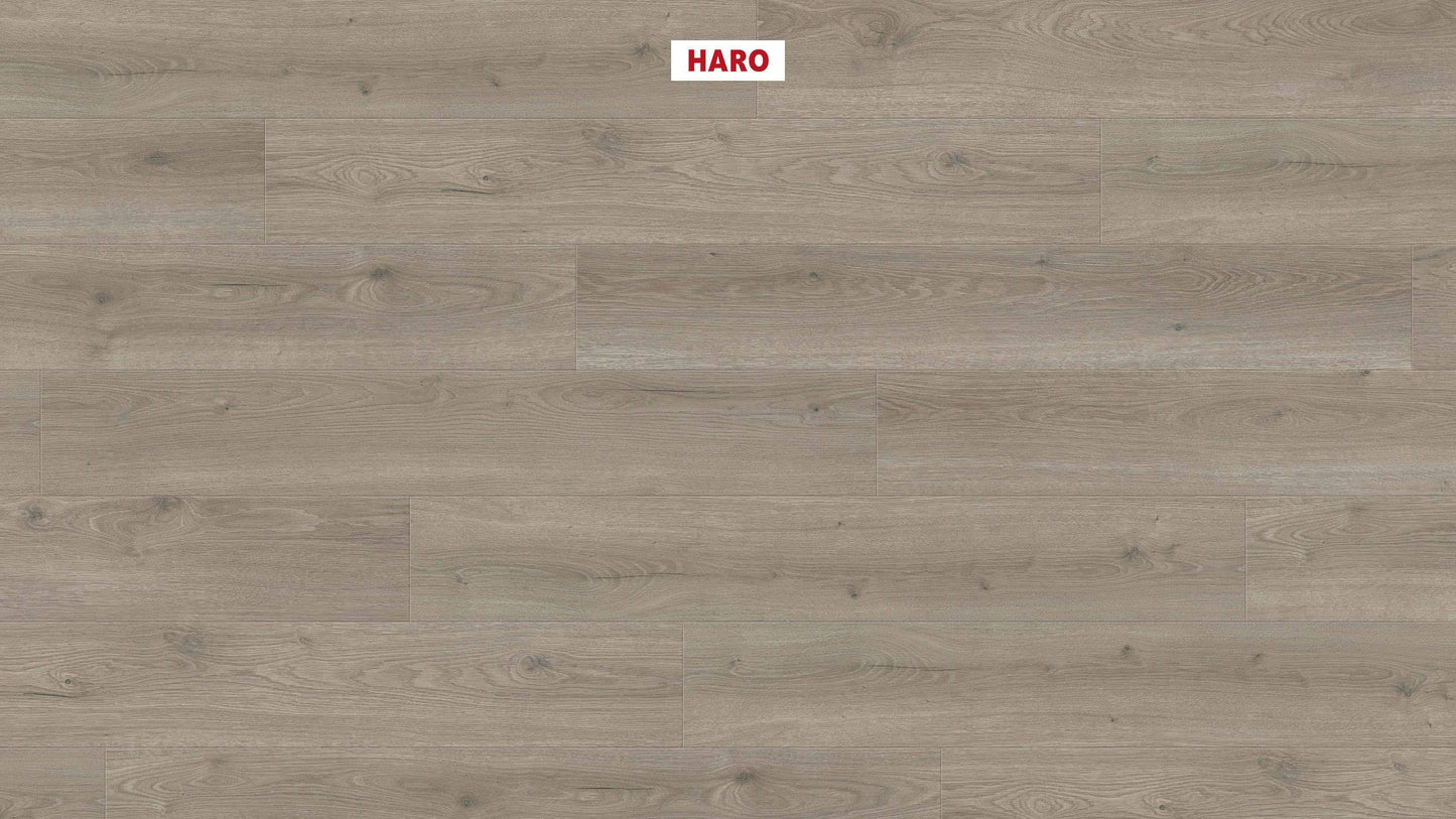 HARO Laminatboden TRITTY 100 Landhausdiele 4V Eiche Flavia grau* authentic Silent Pro Top Connect